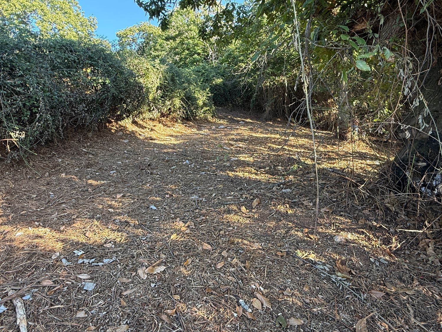 Terrenos en Matanza de Acentejo, La — imagen 15
