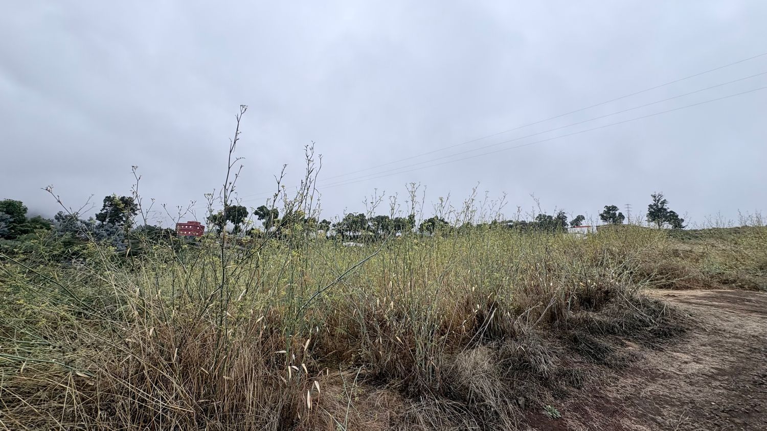 Terrenos en Vega de San Mateo — imagen 24