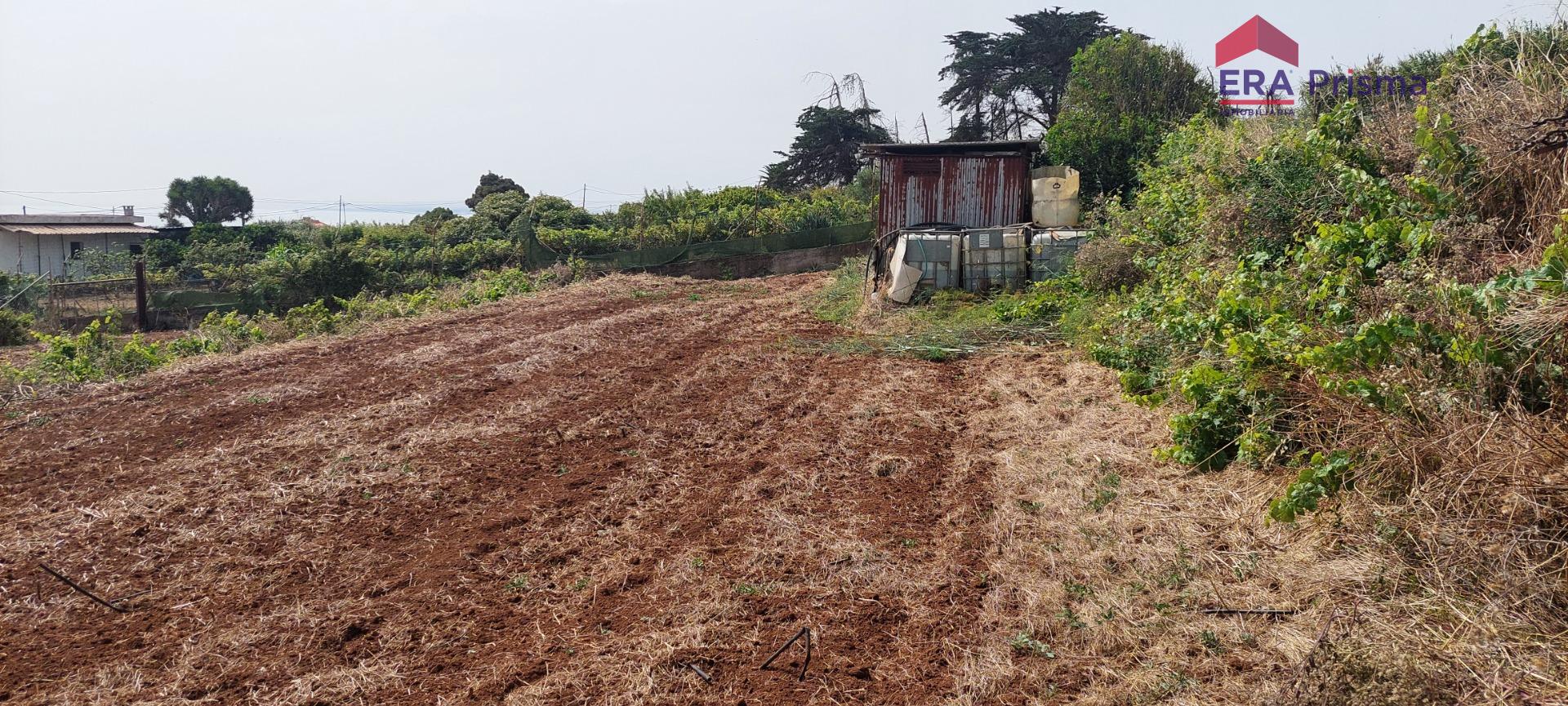 Casas rústicas en San Cristóbal de La Laguna, Los Baldíos — imagen 6