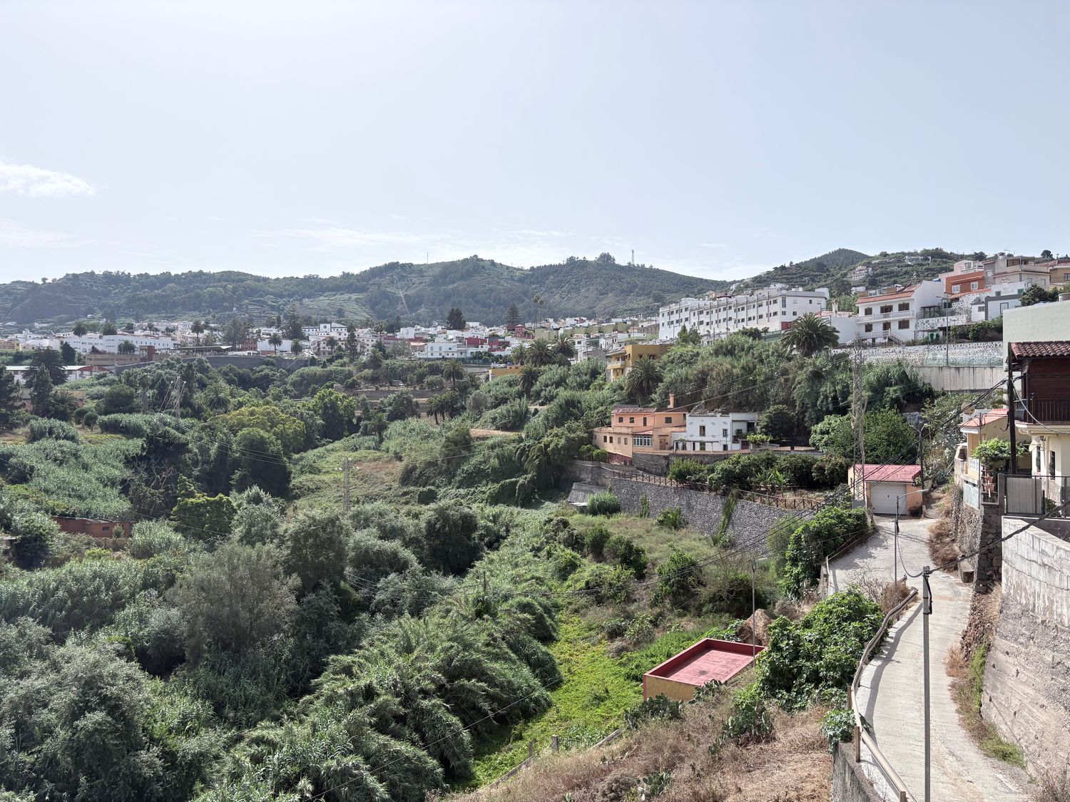 Pareados en Teror — imagen 25