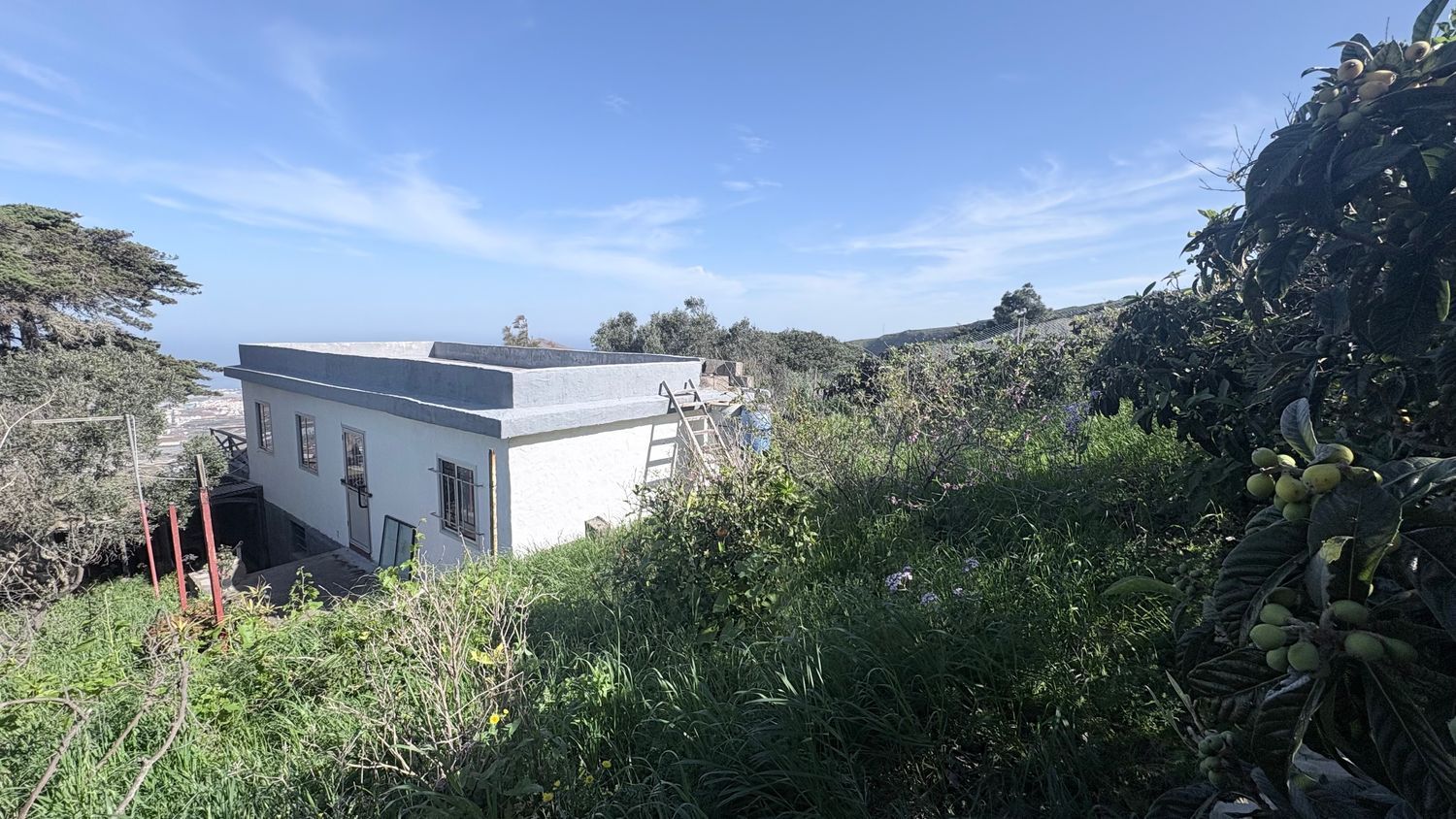 Casas rústicas en Gáldar — imagen 2