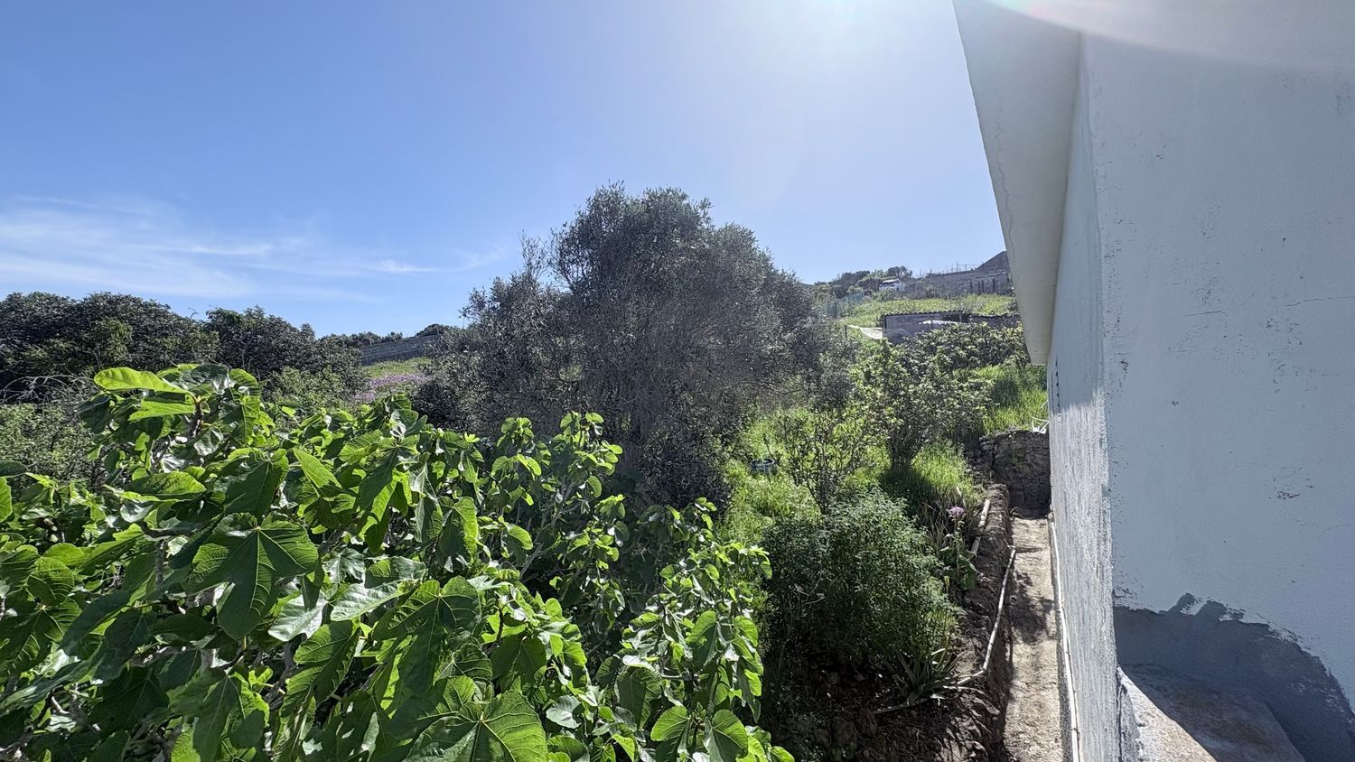Casas rústicas en Gáldar — imagen 17