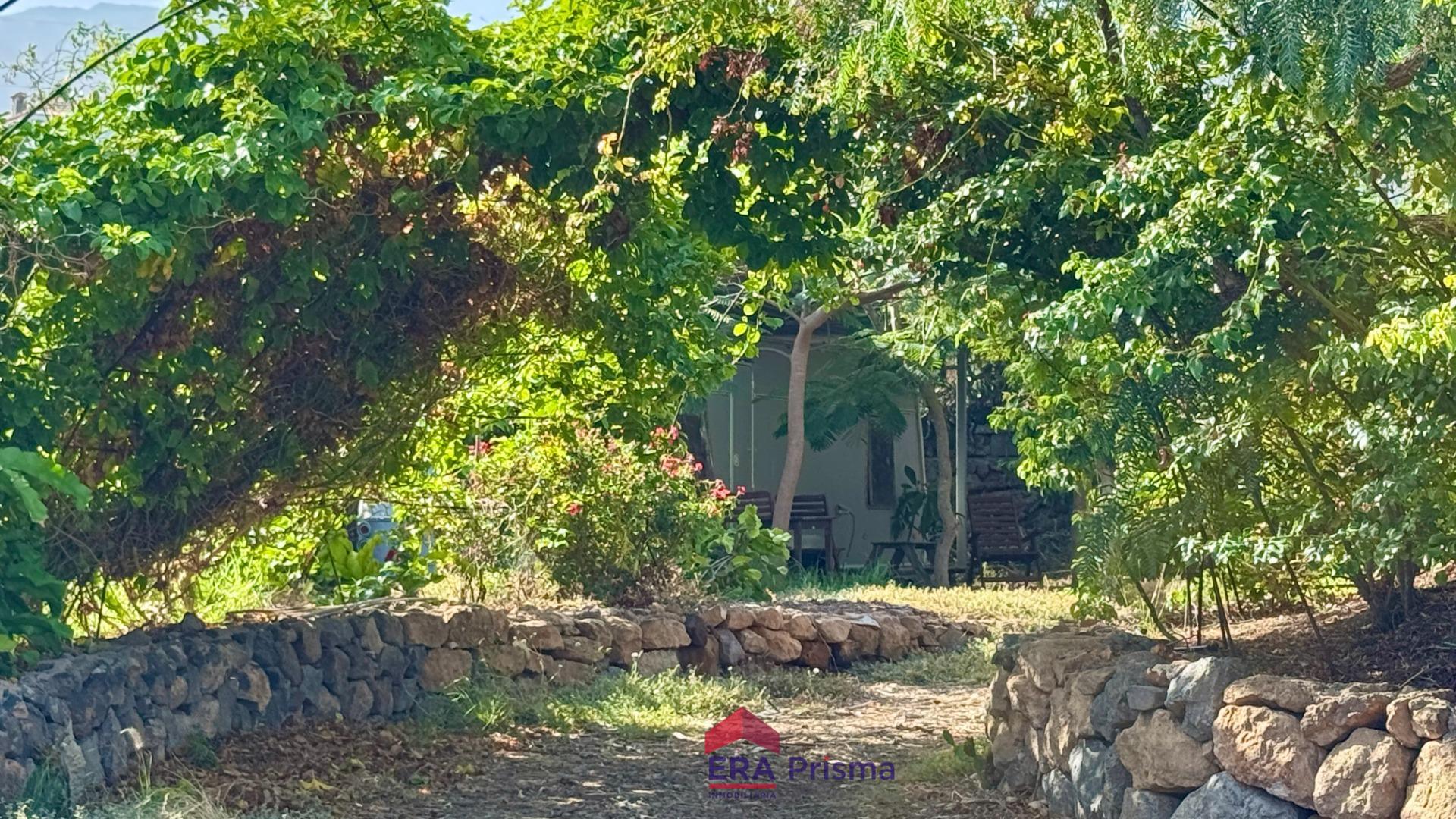 Casas rústicas en Buenavista del Norte, Buenavista del norte pueblo tenerife — imagen 8