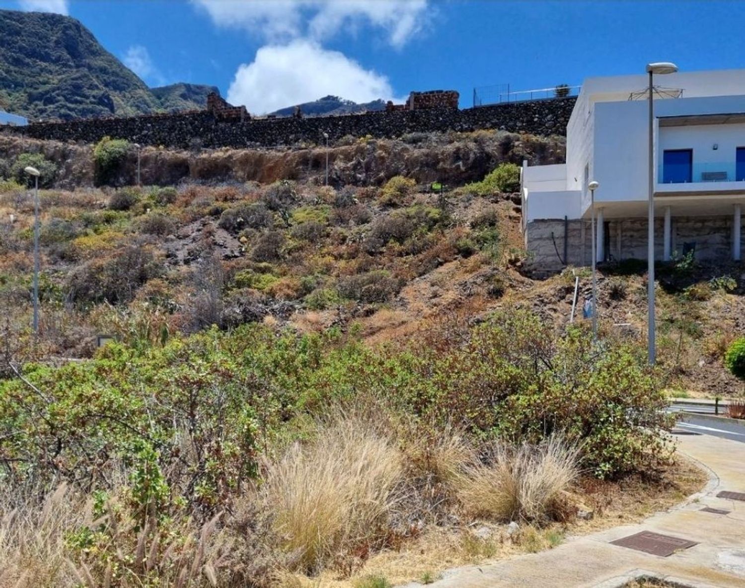 Terrenos en Garachico — imagen 14
