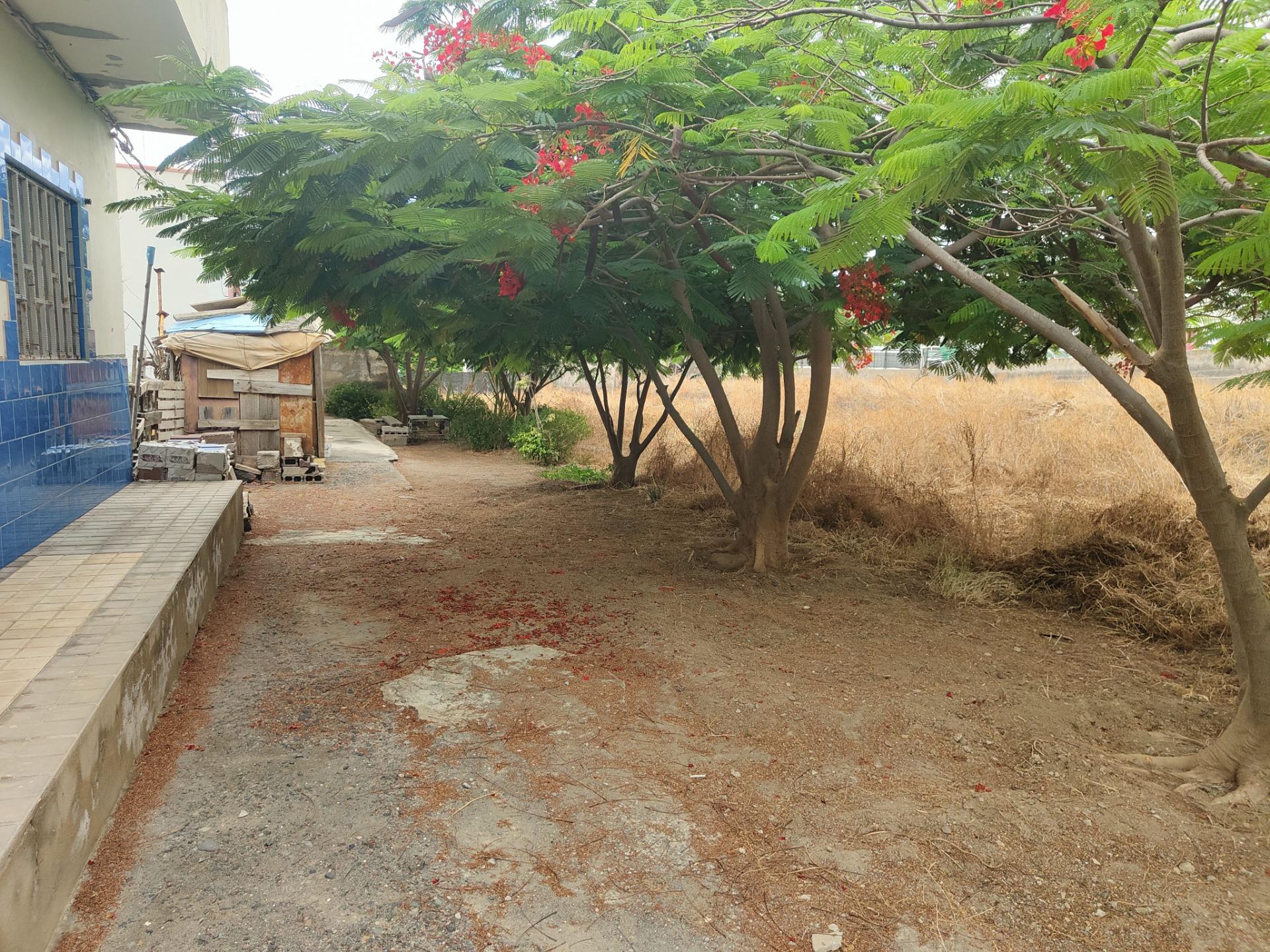 Terrenos en Telde, Jinamar — imagen 2
