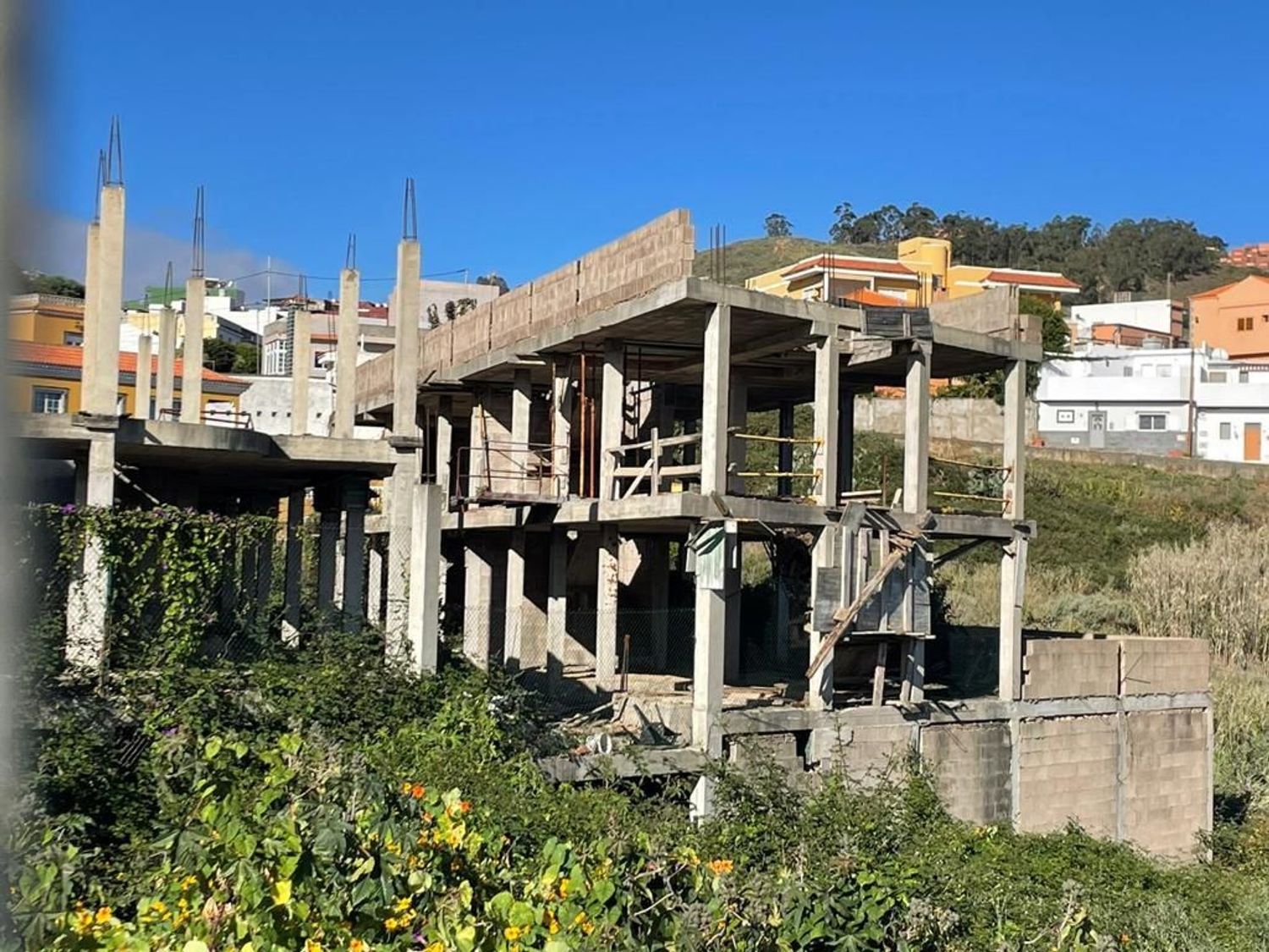 Terrenos en Firgas — imagen 4