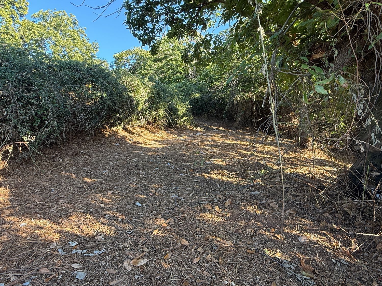 Terrenos en Matanza de Acentejo, La — imagen 14