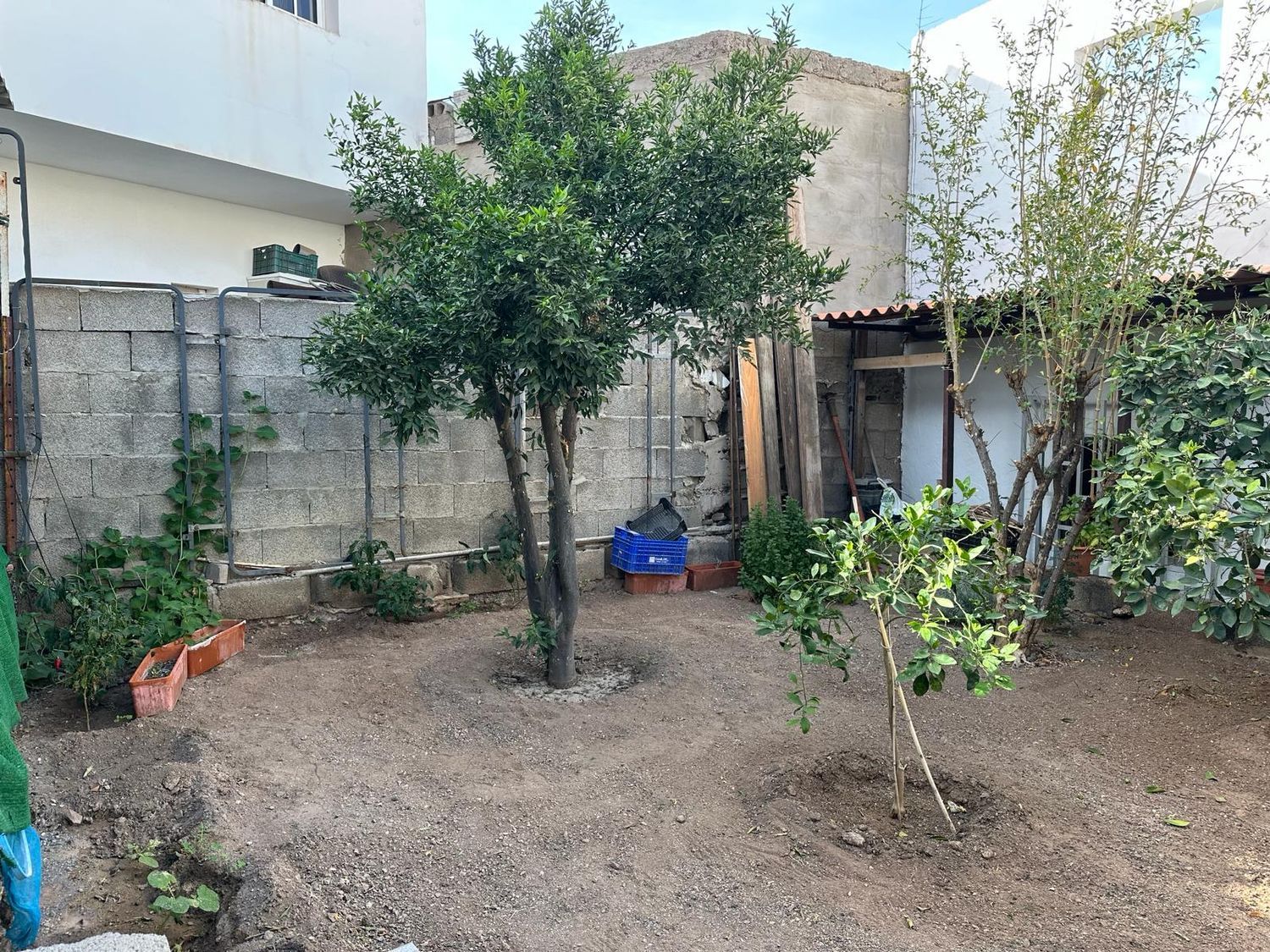 Pareados en Mogán — imagen 36