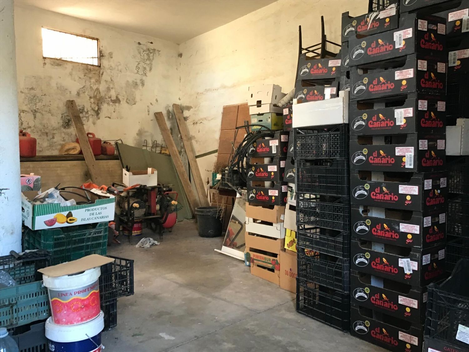 Casas rústicas en Telde — imagen 65