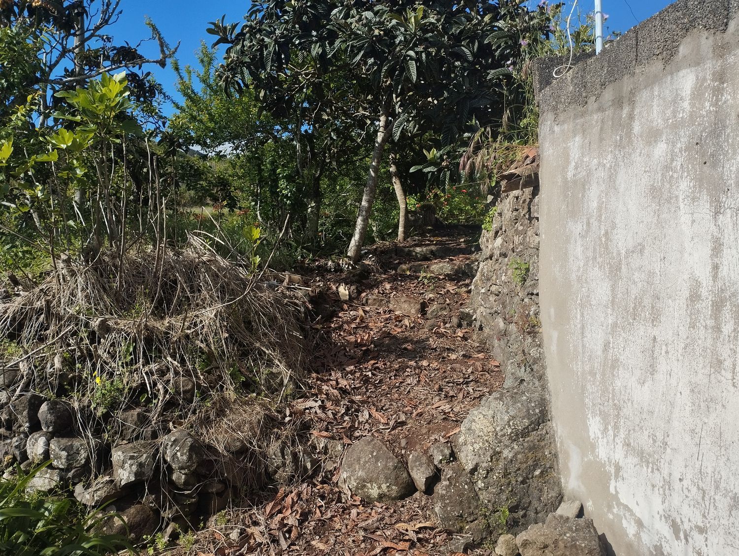 Terrenos en Moya — imagen 62