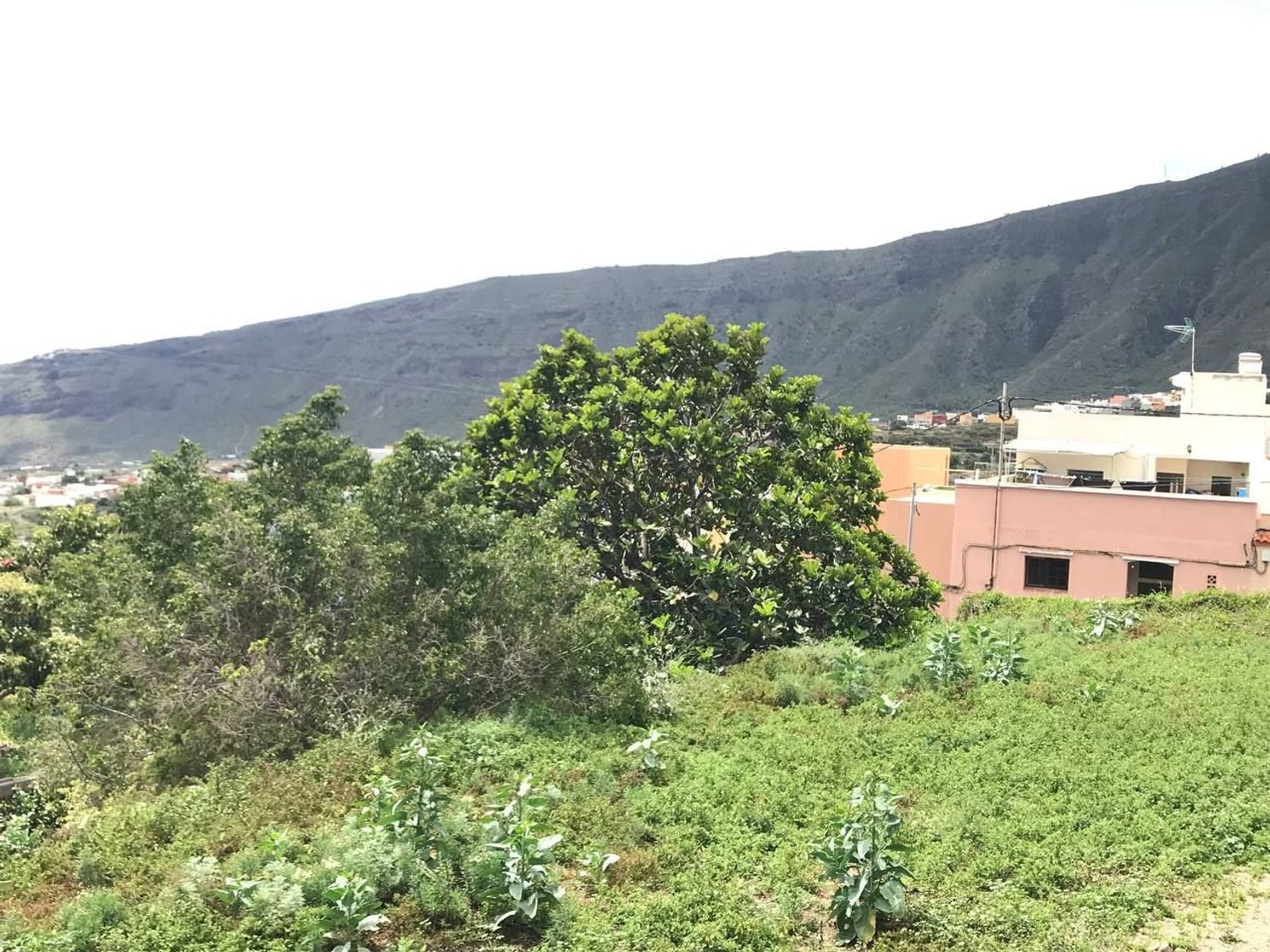 Terrenos en Güímar — imagen 7