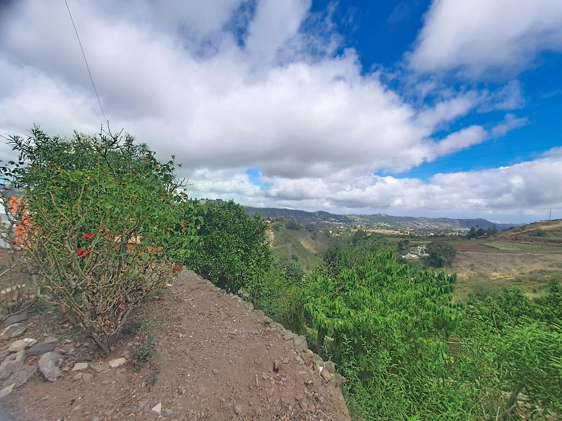 Independientes en Vega de San Mateo, Islas canarias — imagen 21