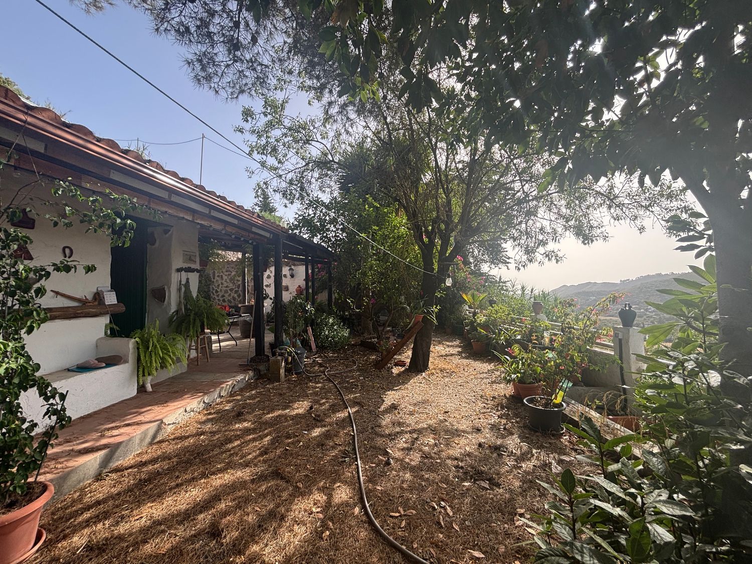 Casas rústicas en Vega de San Mateo — imagen 15