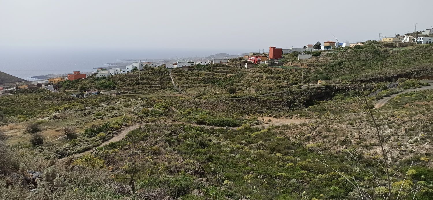 Terrenos en Fasnia — imagen 10