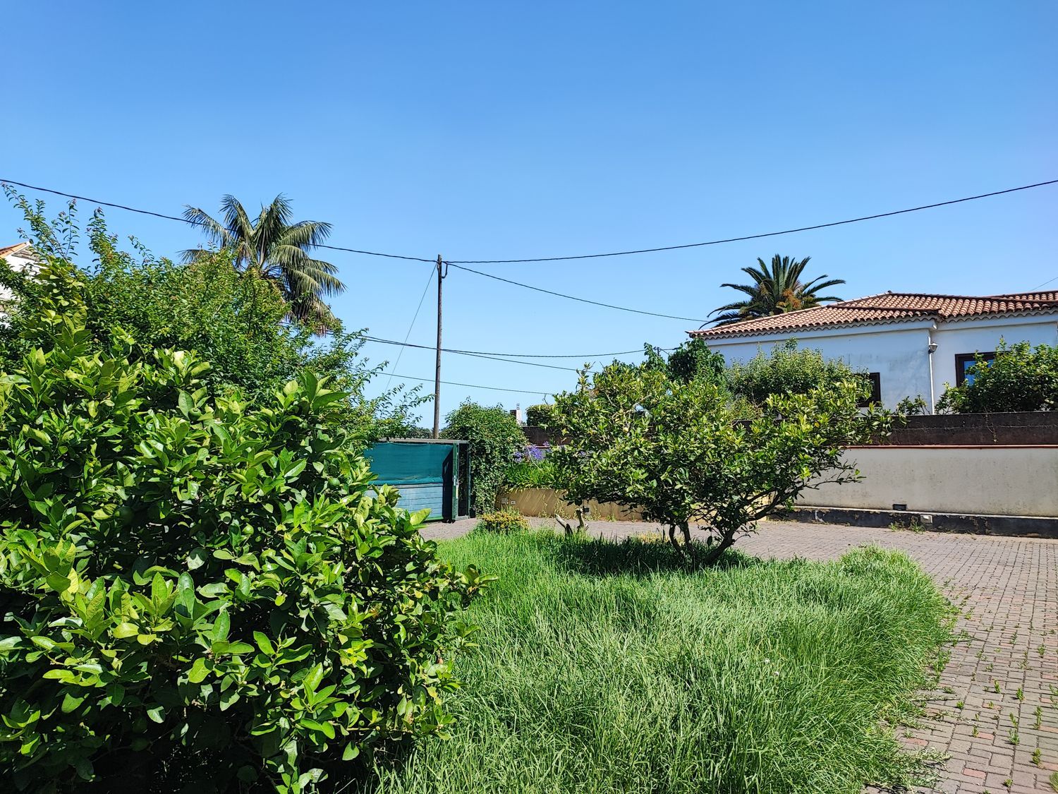 Independientes en San Cristóbal de La Laguna, LA LAGUNA — imagen 37