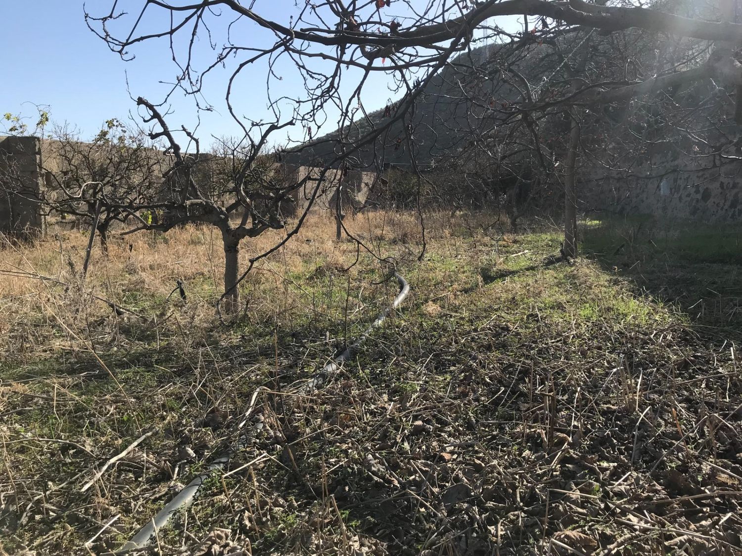 Casas rústicas en Telde — imagen 21