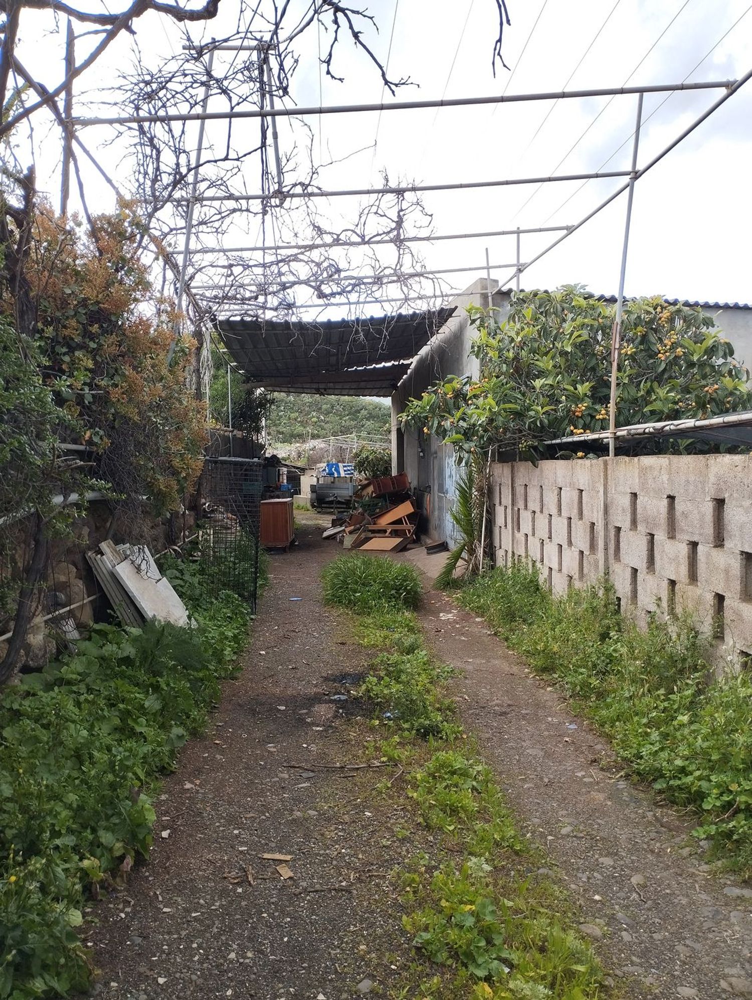 Terrenos en Telde — imagen 30