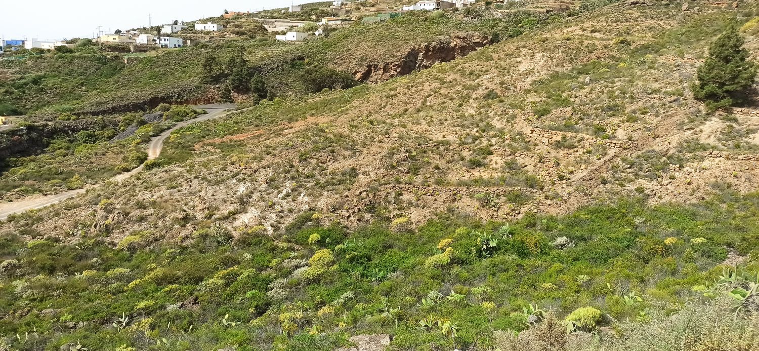 Terrenos en Fasnia — imagen 12