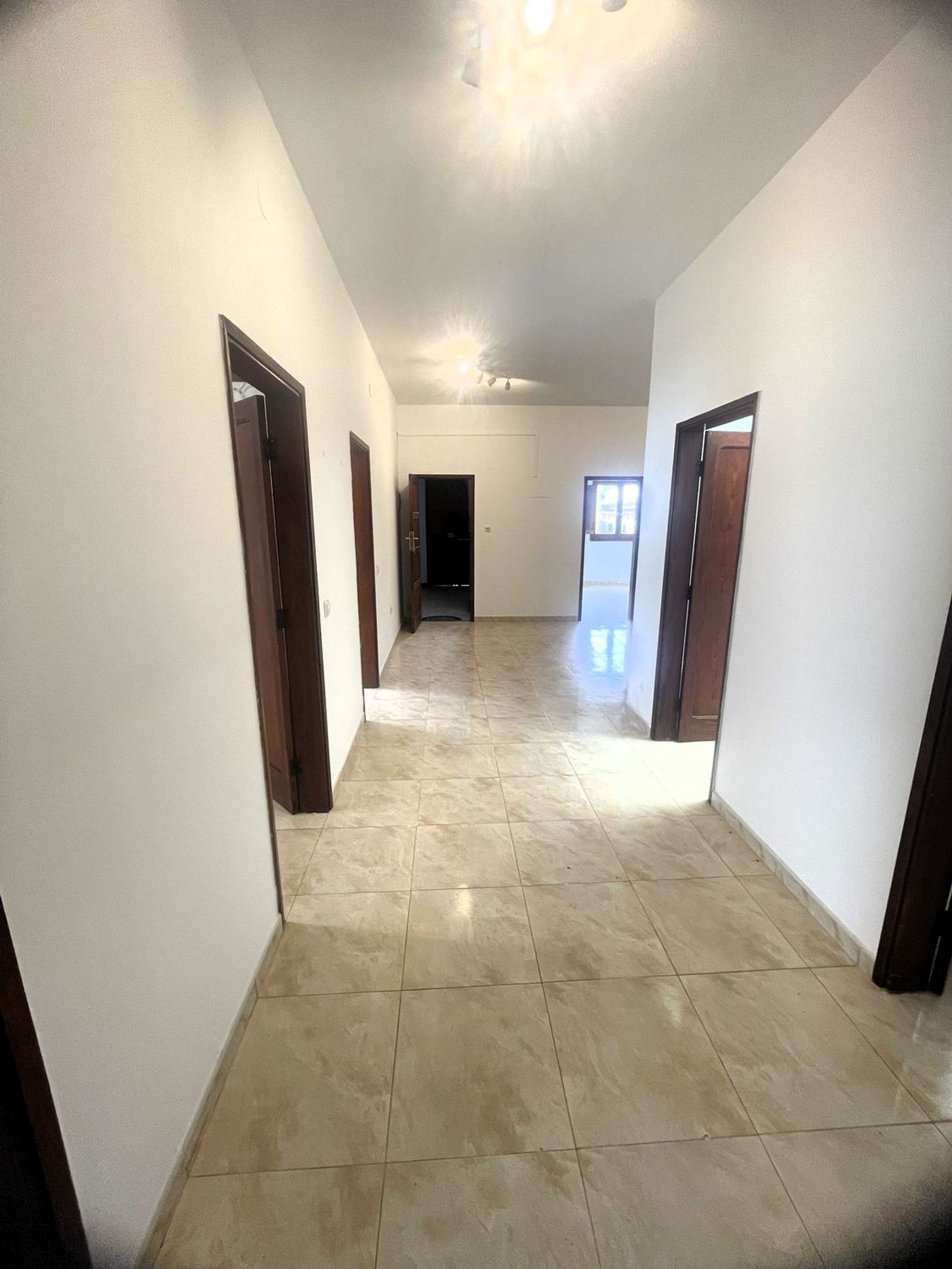 Pareados en Teror — imagen 18