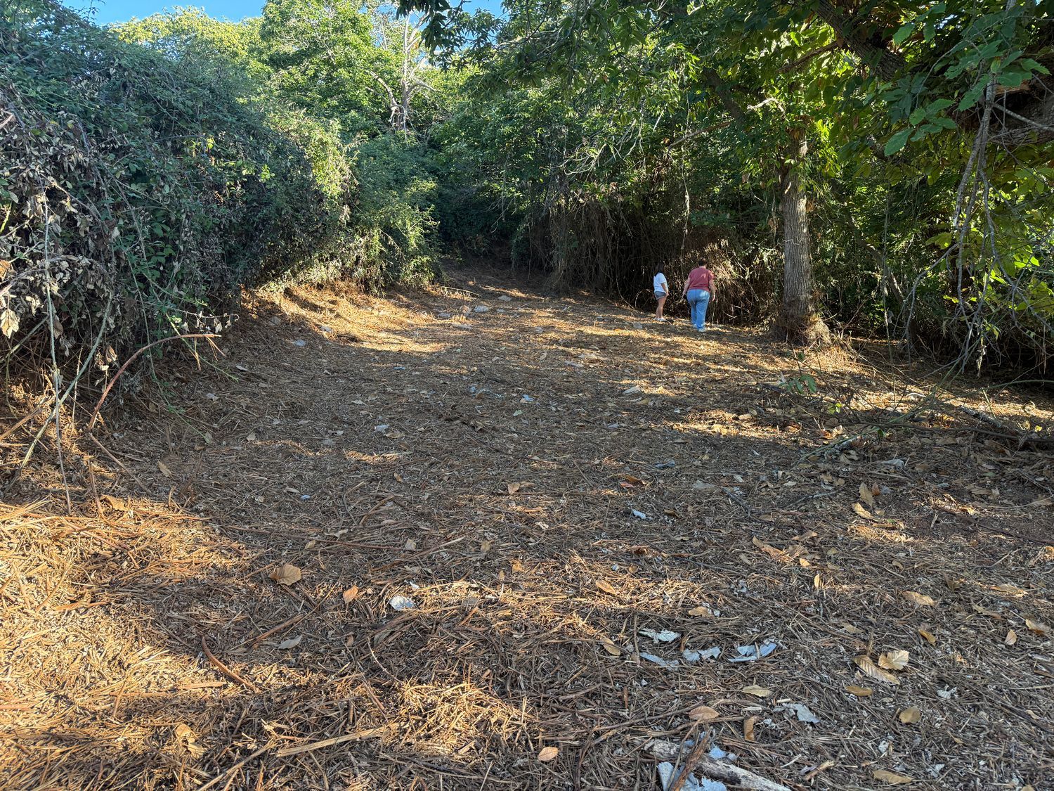 Terrenos en Matanza de Acentejo, La — imagen 7