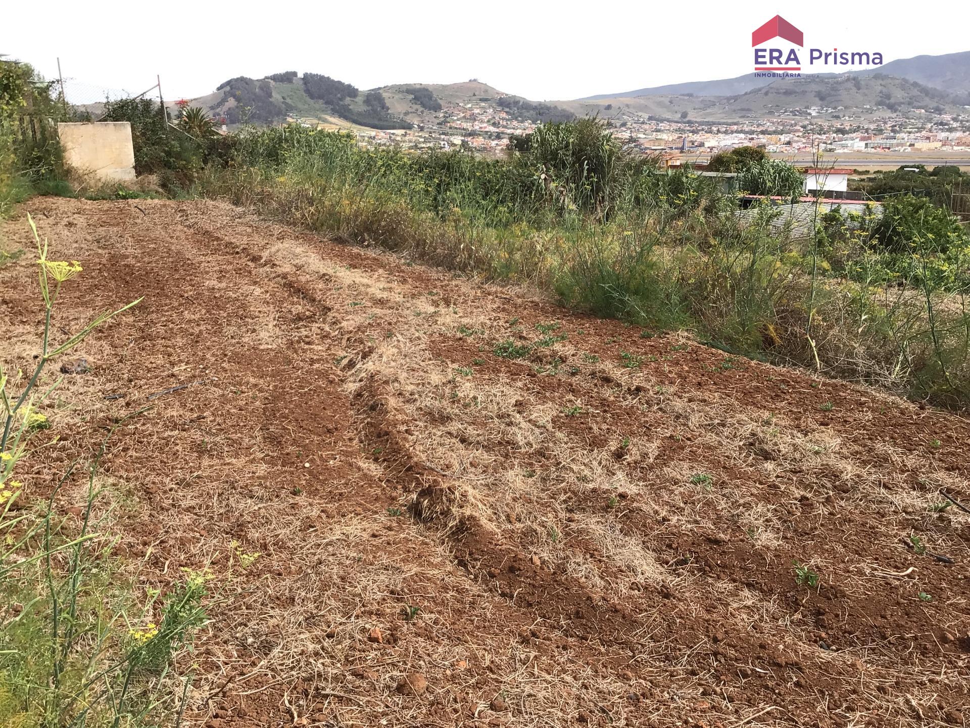 Casas rústicas en San Cristóbal de La Laguna, Los Baldíos — imagen 12