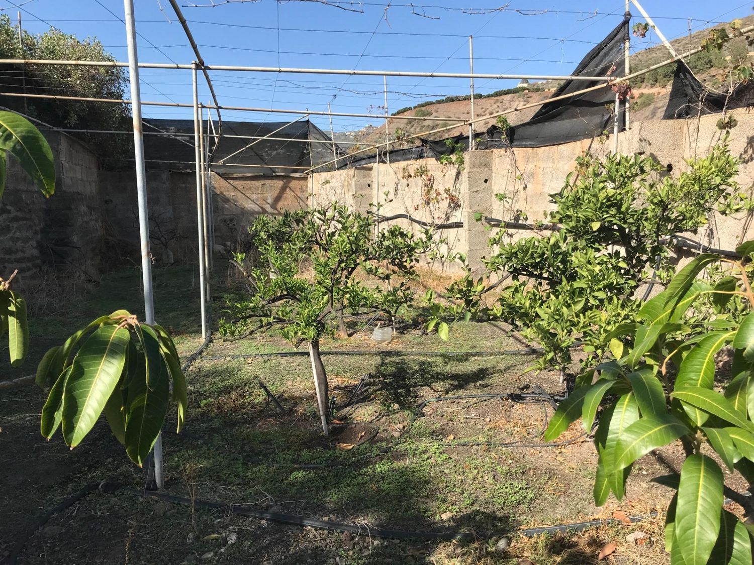 Casas rústicas en Telde — imagen 57