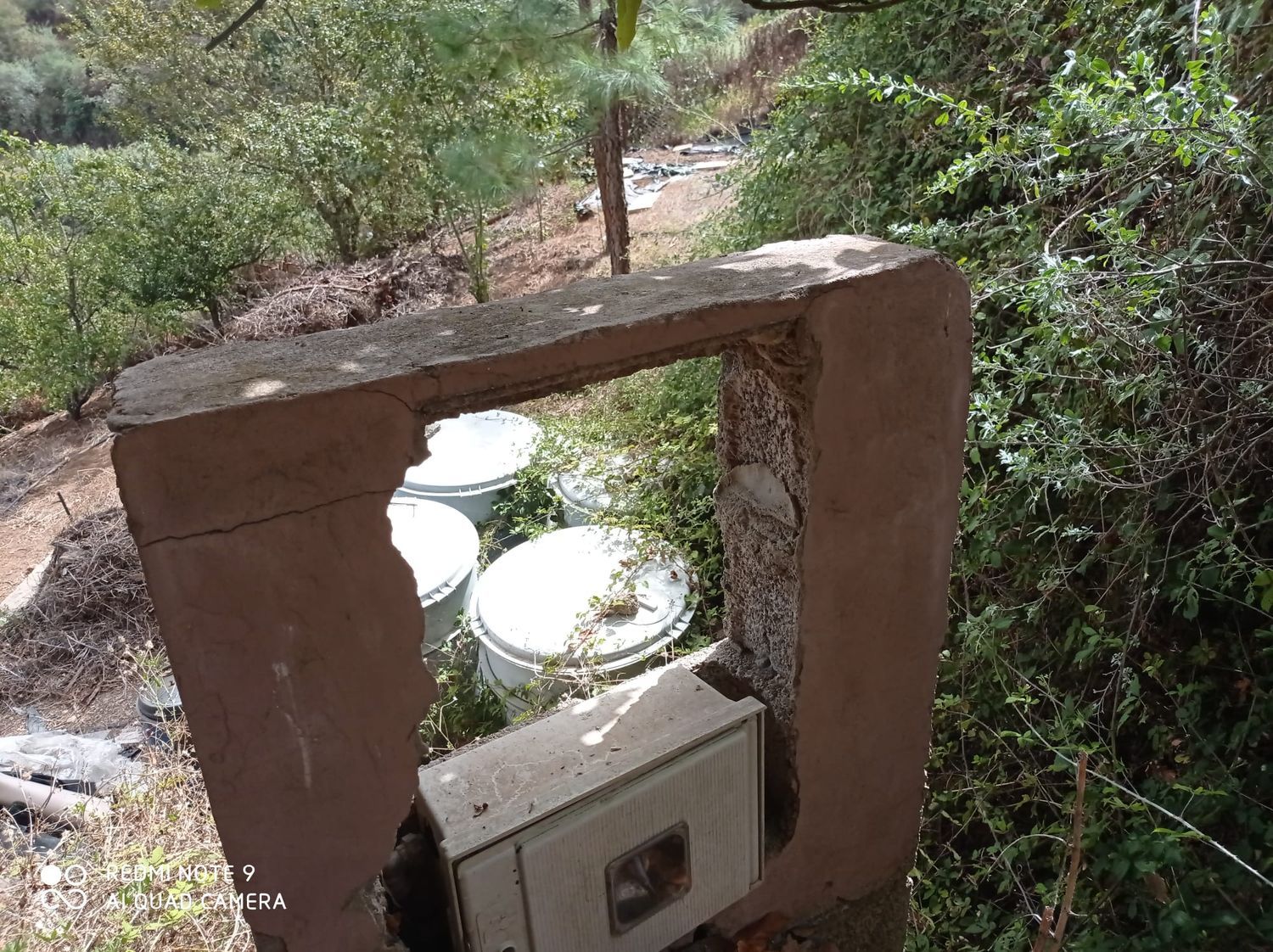 Terrenos en Moya — imagen 22