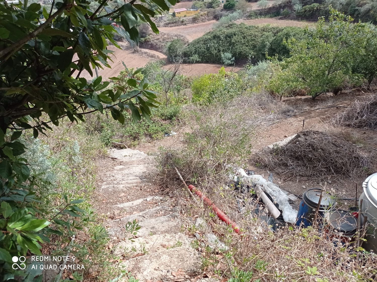 Terrenos en Moya — imagen 35