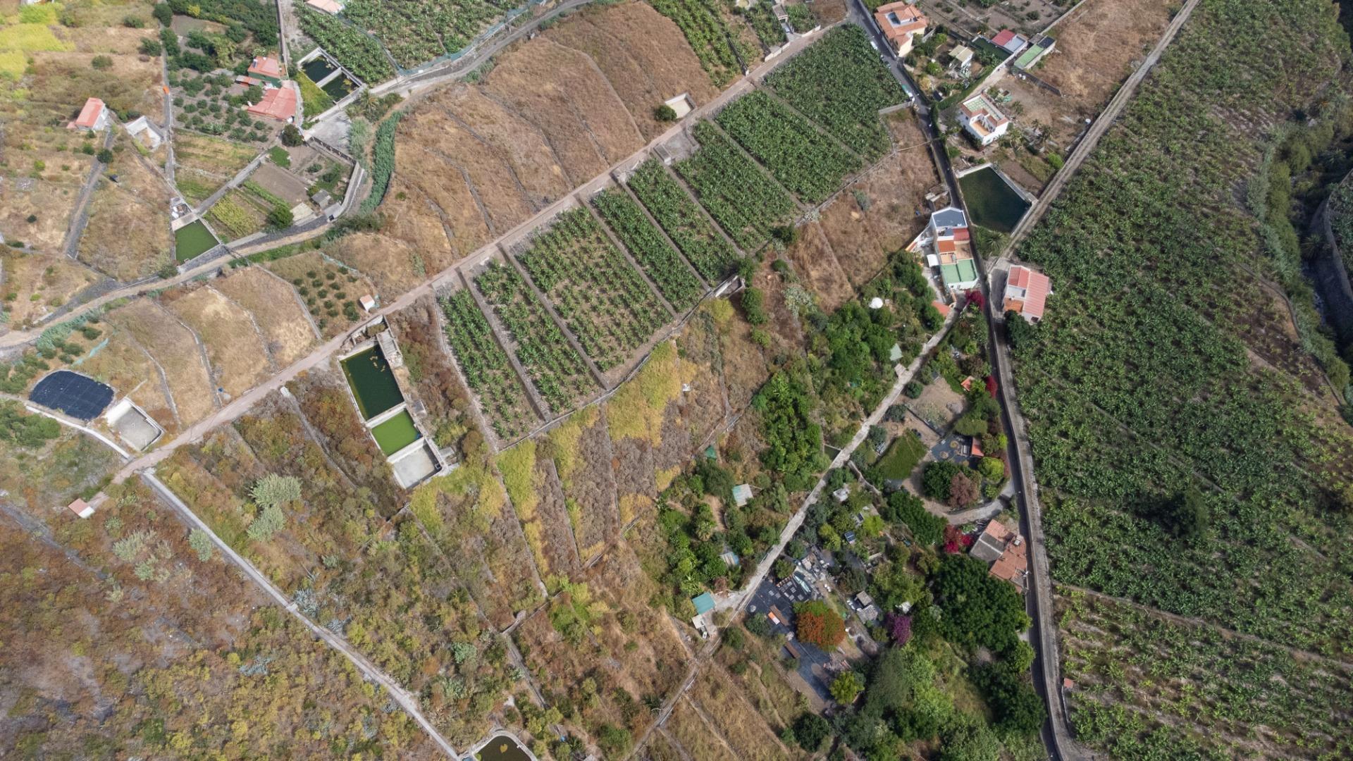 Casas rústicas en Silos, Los, Zona Centro — imagen 6