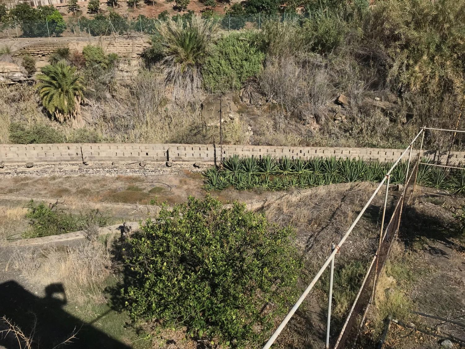 Casas rústicas en Telde — imagen 28