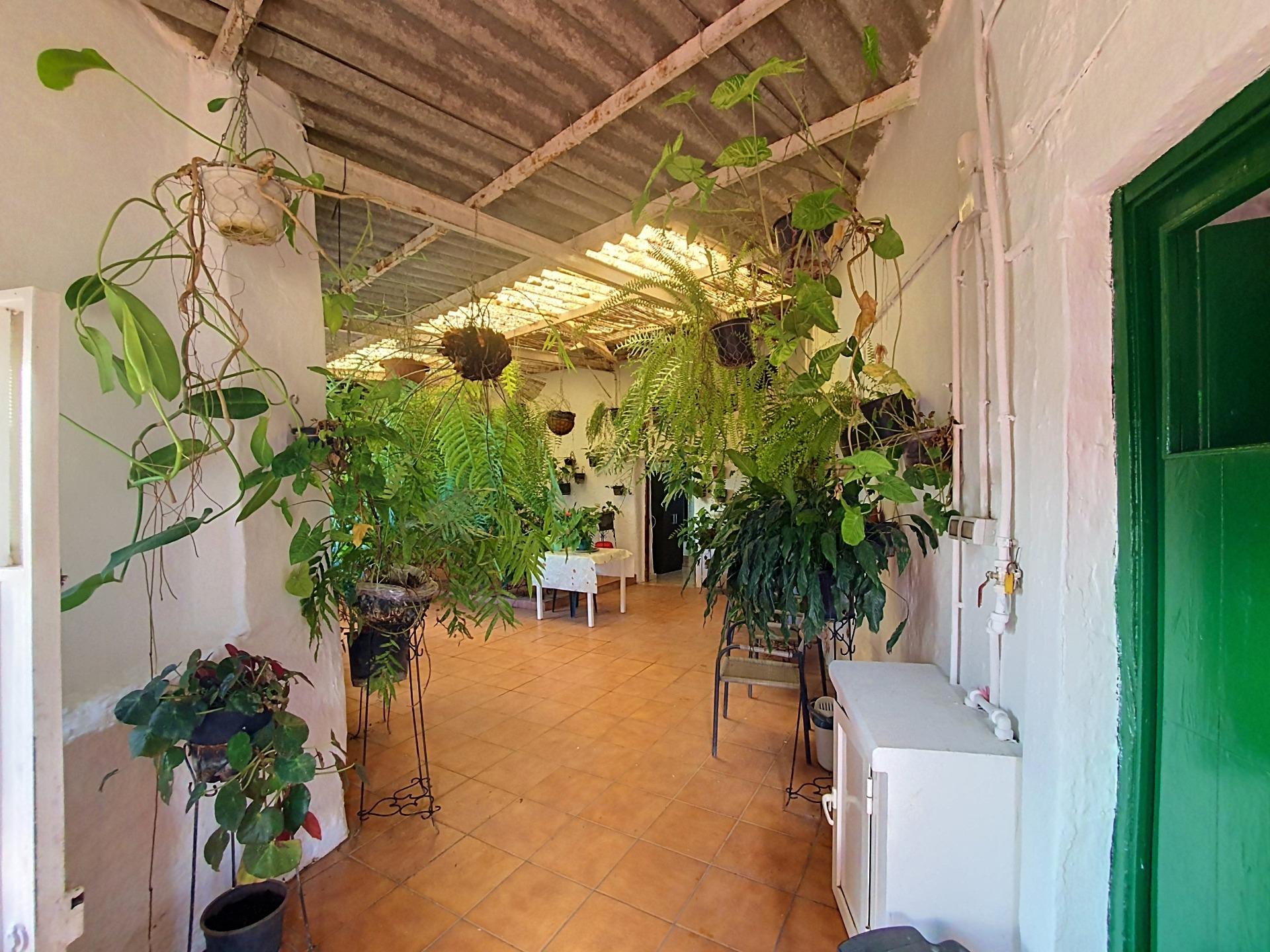 Independientes en Vega de San Mateo, Islas canarias — imagen 4