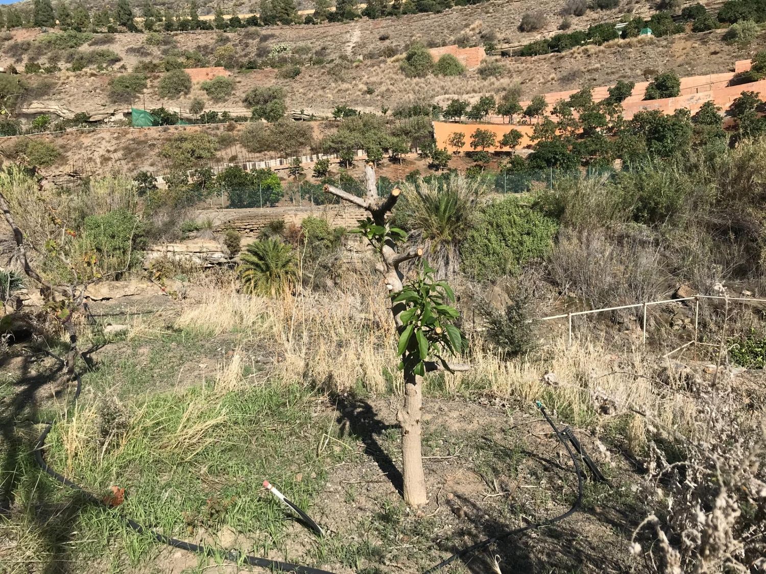 Casas rústicas en Telde — imagen 29