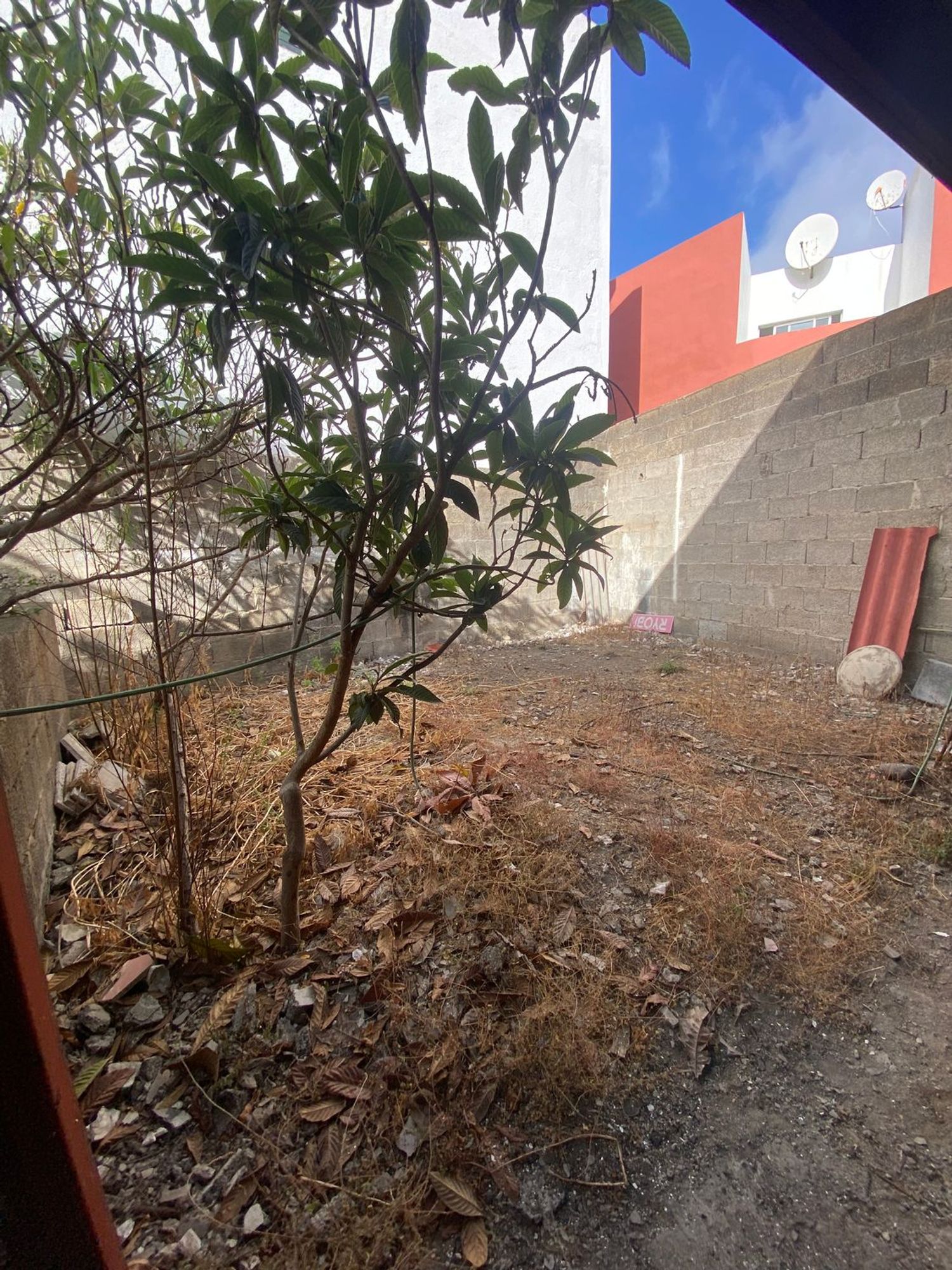 Adosados en Icod de los Vinos — imagen 49