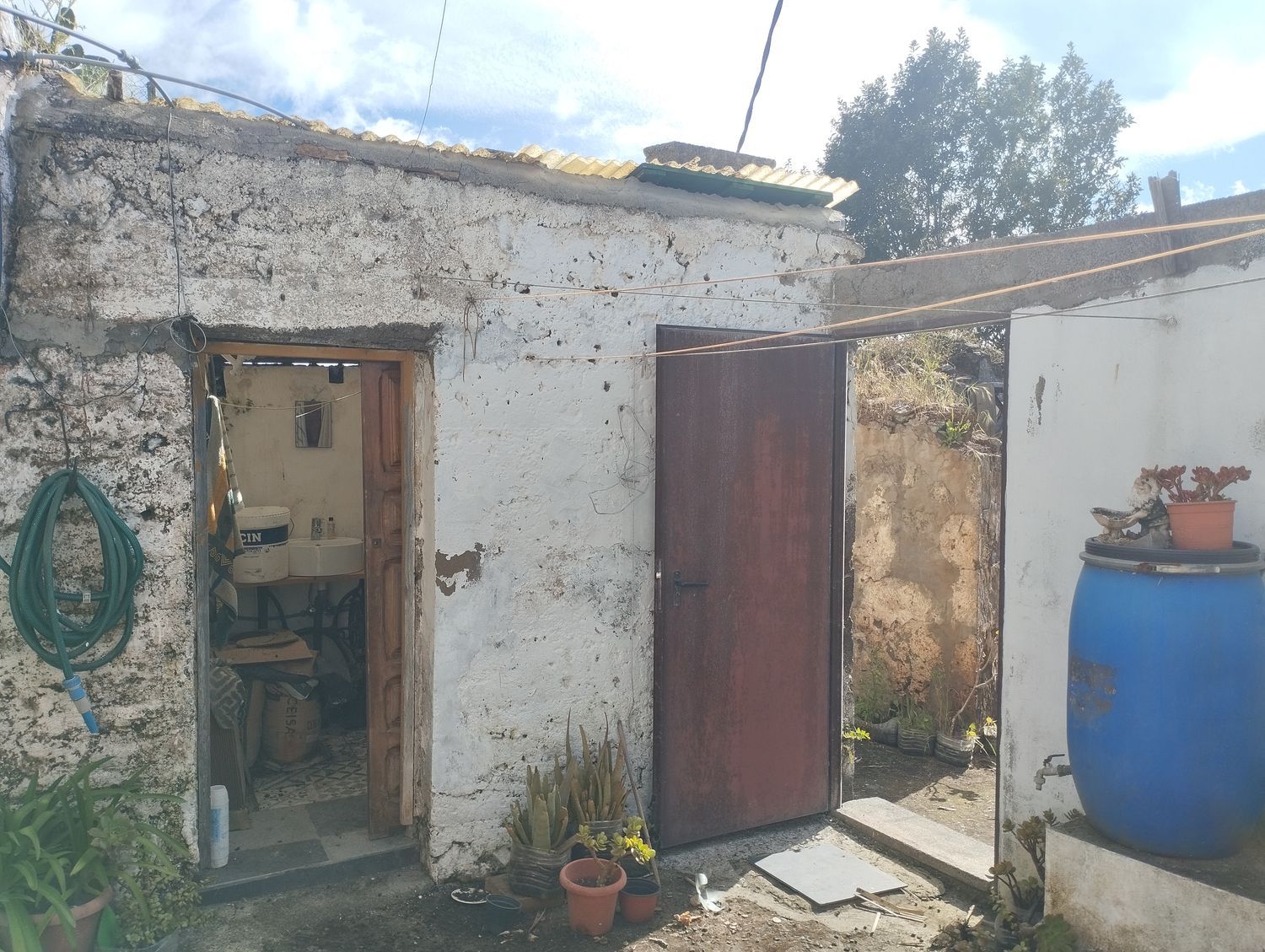 Terrenos en Moya — imagen 48