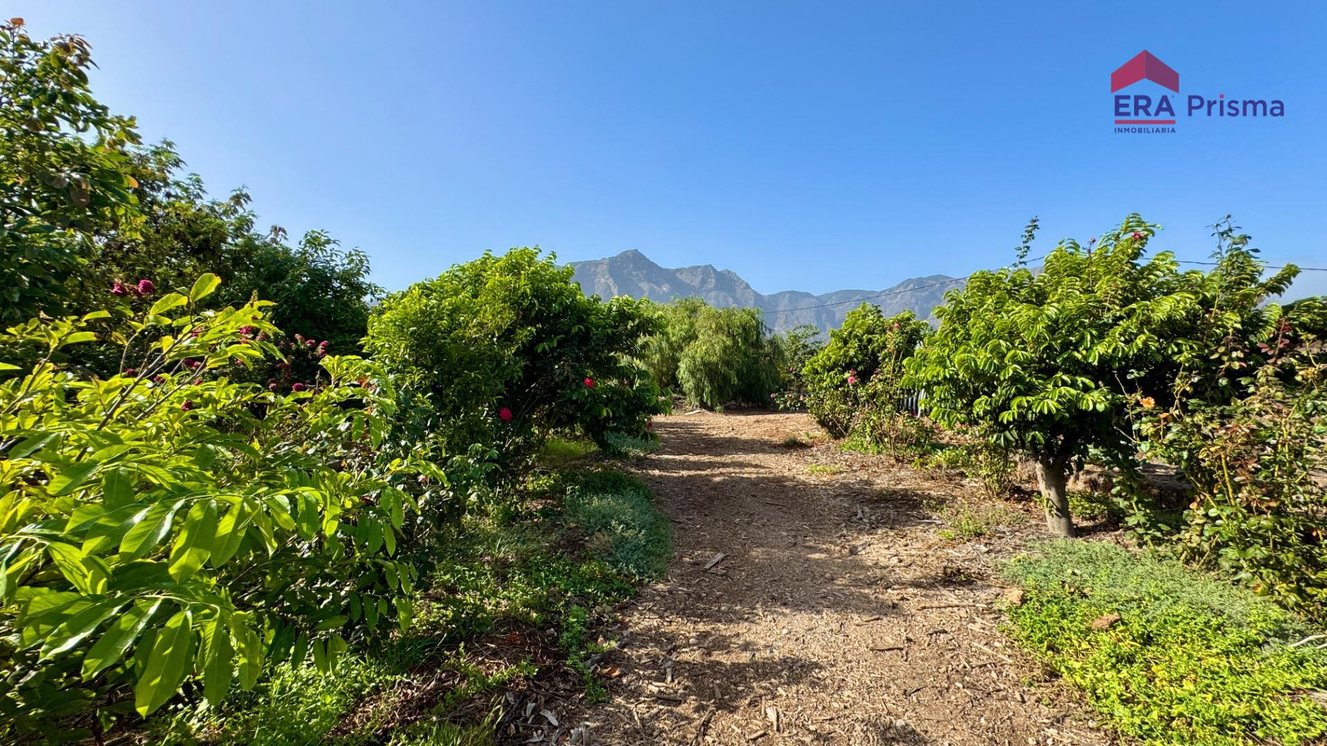Casas rústicas en Buenavista del Norte, Buenavista del norte pueblo tenerife — imagen 32