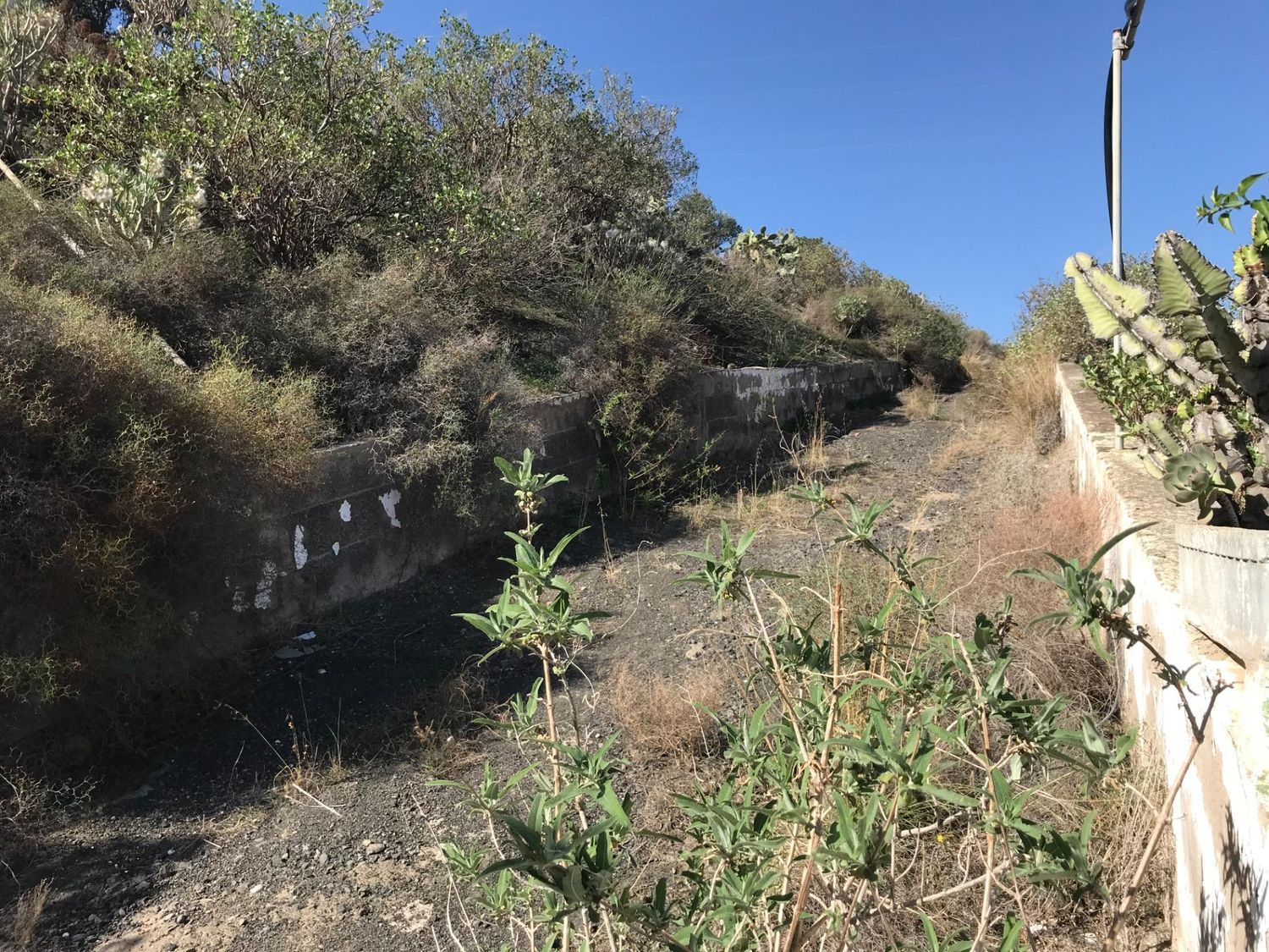 Casas rústicas en Telde — imagen 41