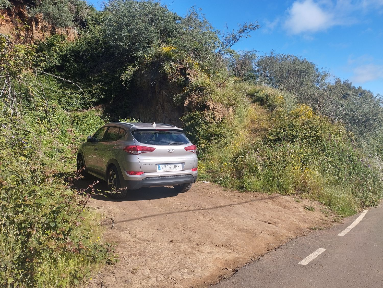 Terrenos en Moya — imagen 3