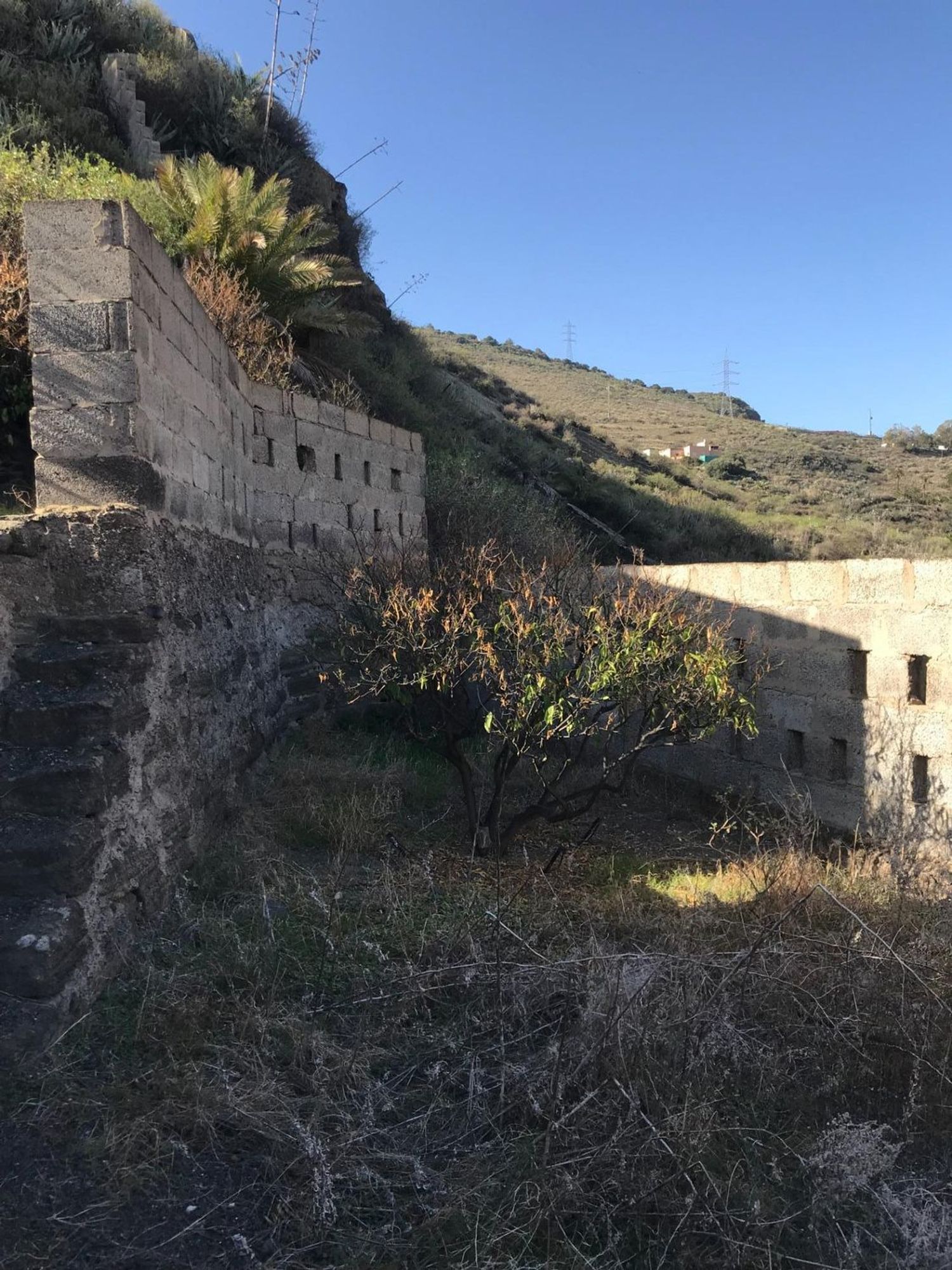 Casas rústicas en Telde — imagen 15