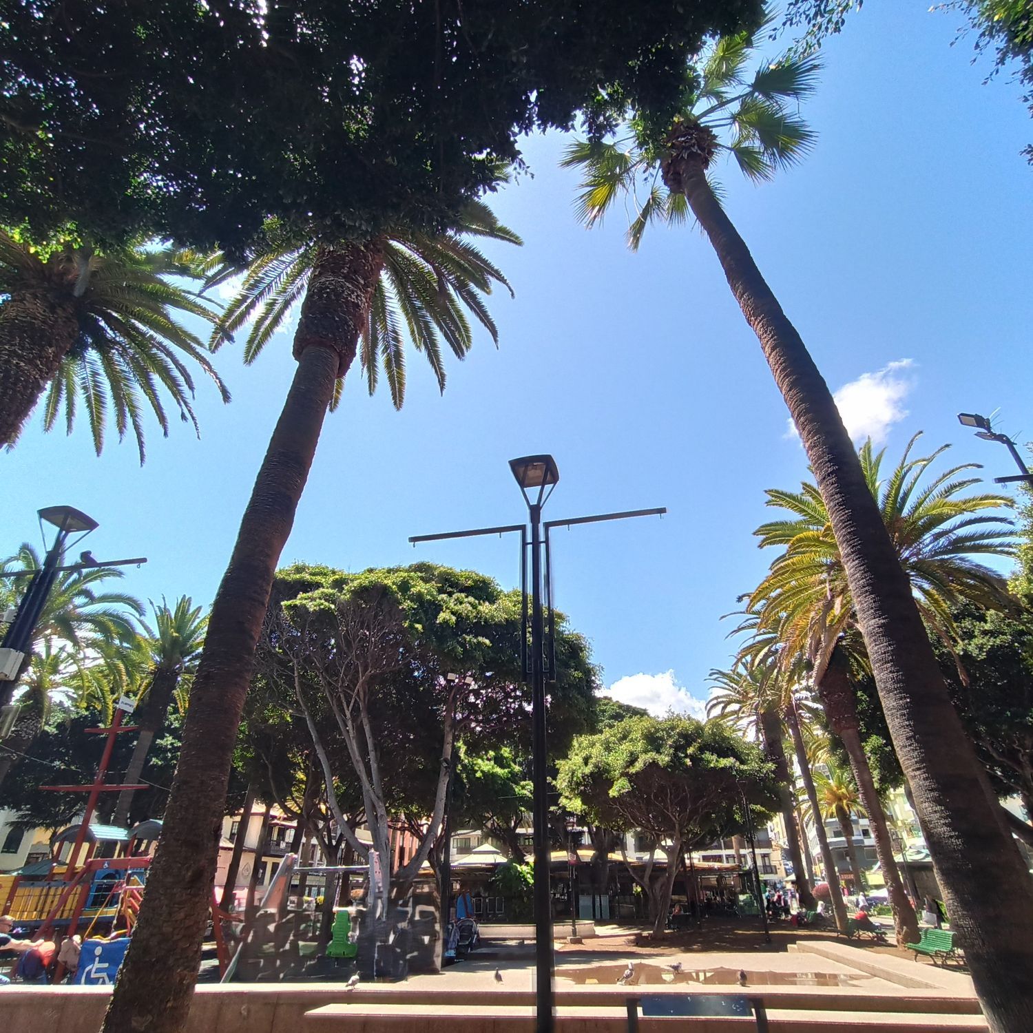 Oficinas en Puerto de la Cruz — imagen 33