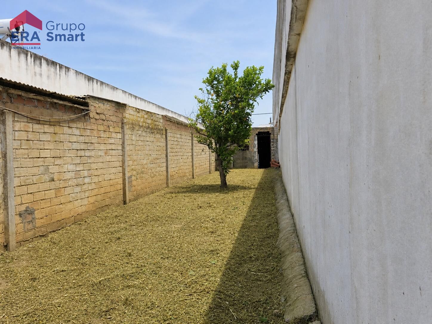 Terrenos en Mairena del Aljarafe, Centro — imagen 11
