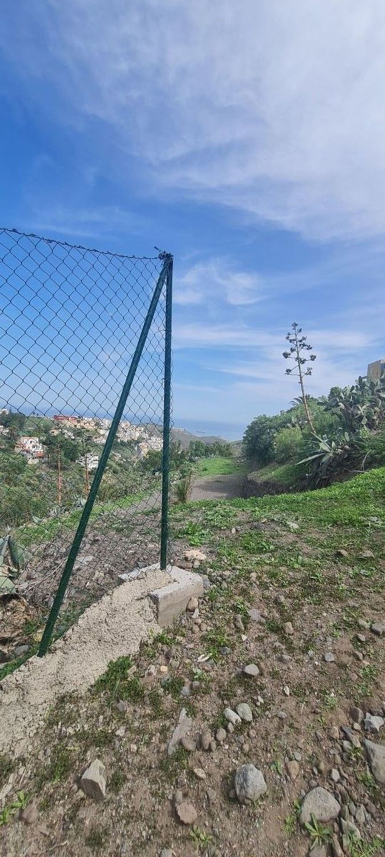 Terrenos en Palmas de Gran Canaria, Las, Tafira — imagen 3