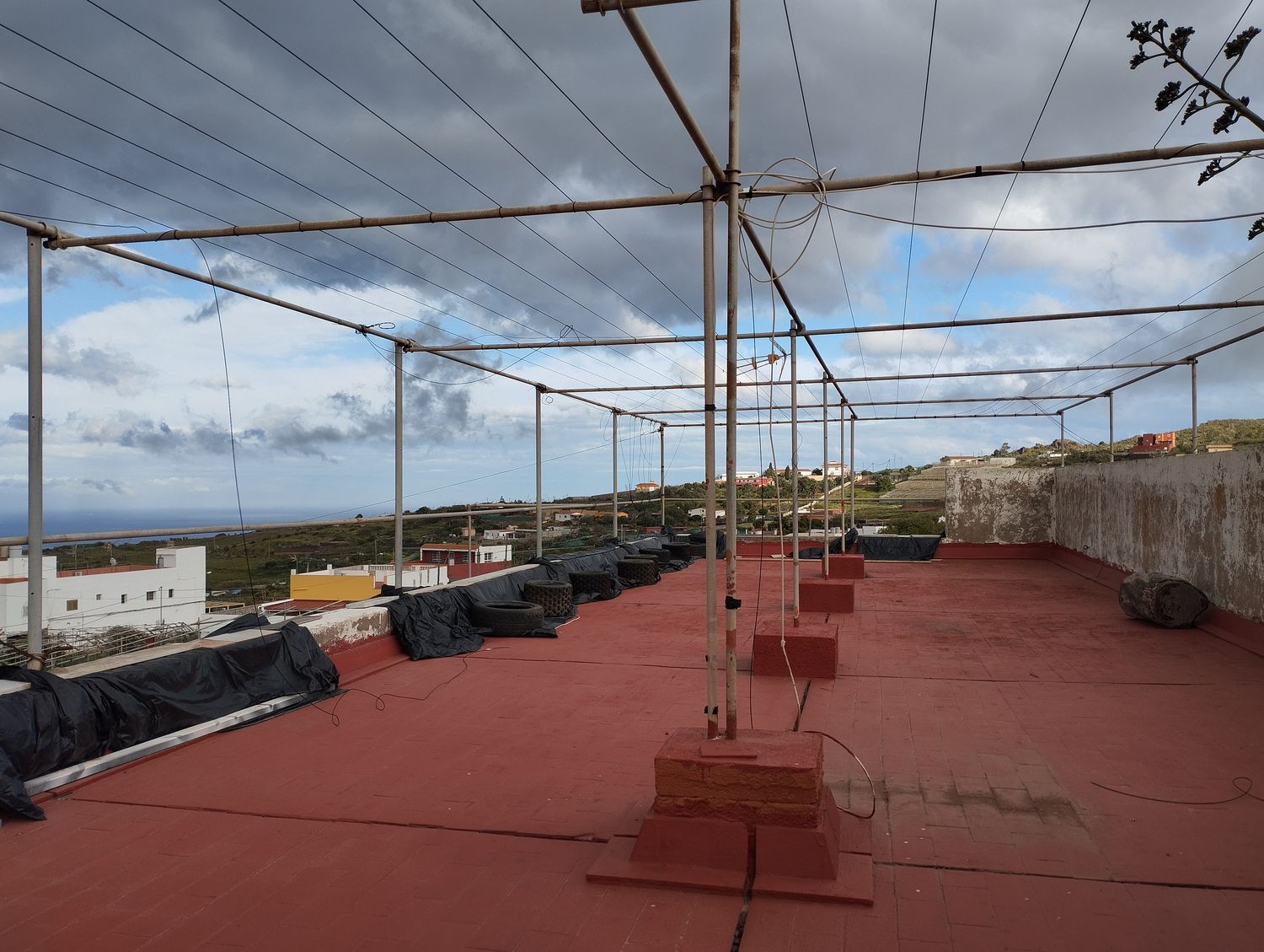 Terrenos en Telde — imagen 8