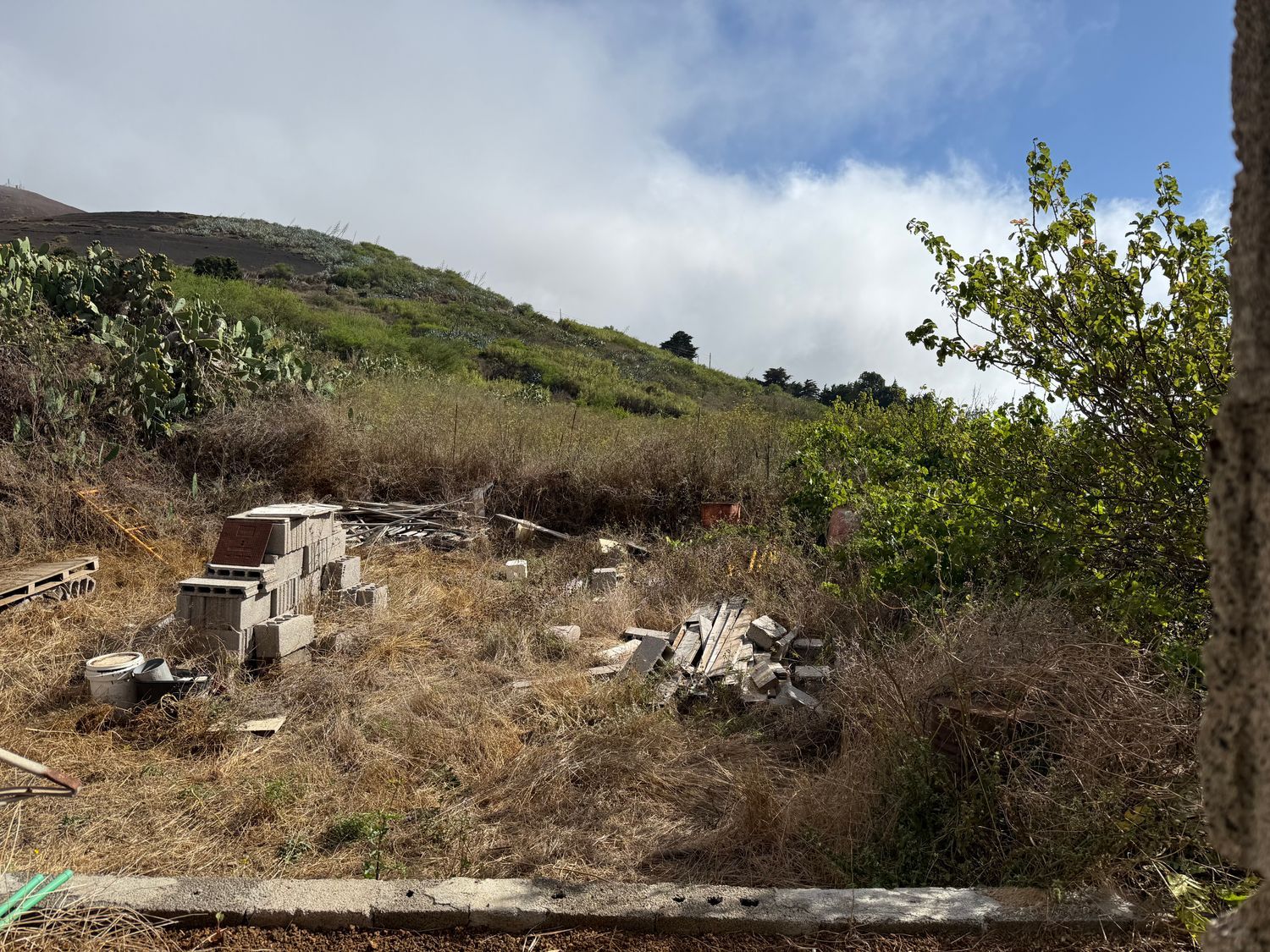 Independientes en Valverde — imagen 16