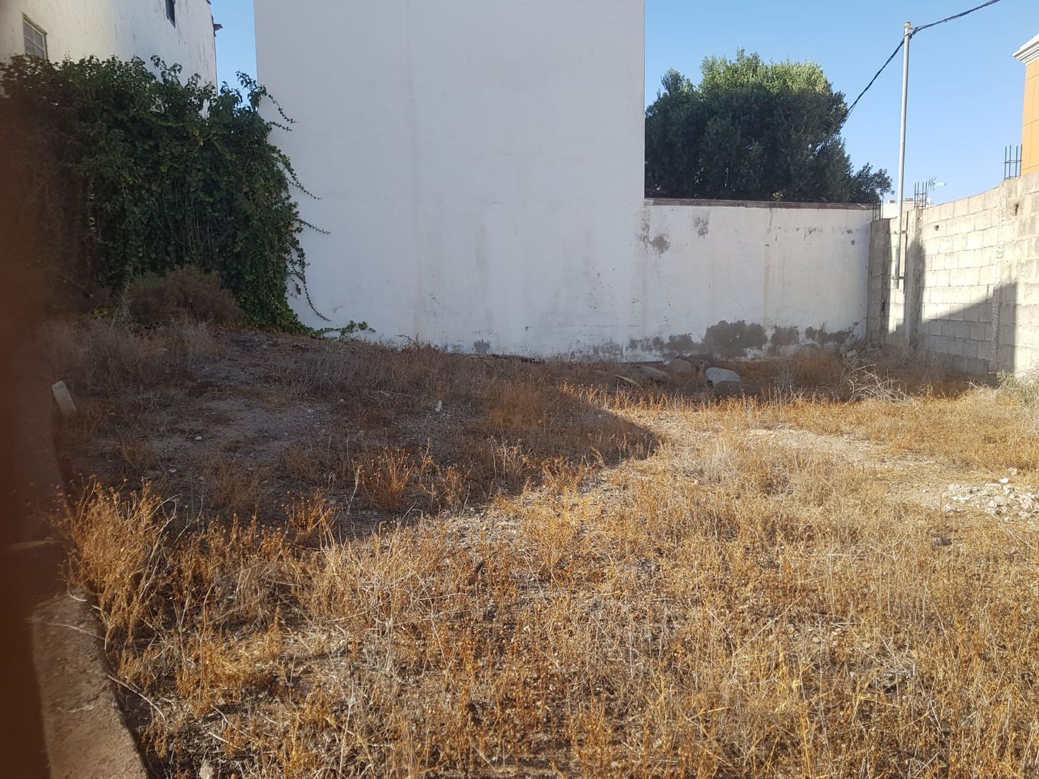 Terrenos en Ingenio, Avenida de america — imagen 1