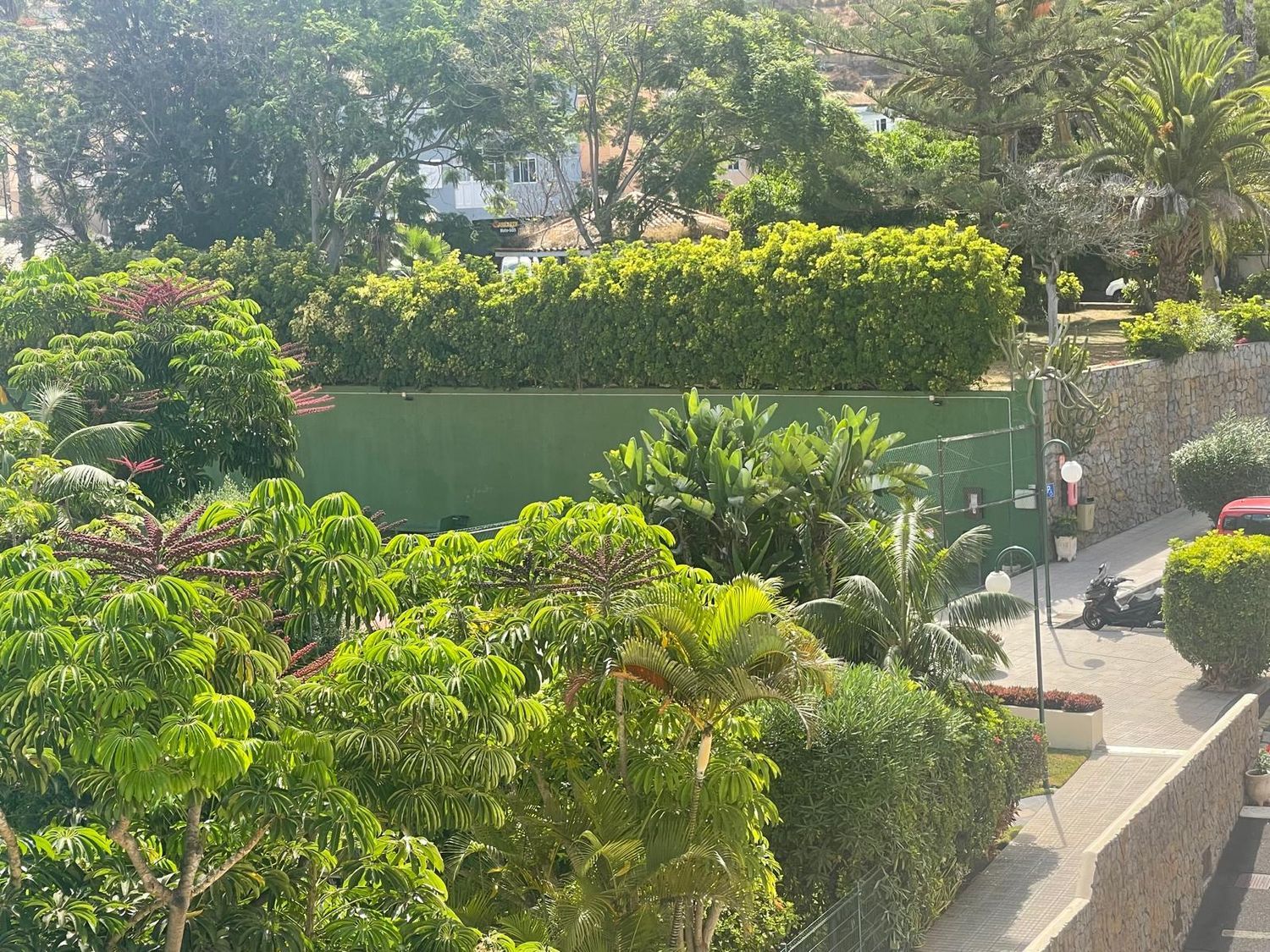 Áticos en Puerto de la Cruz — imagen 22