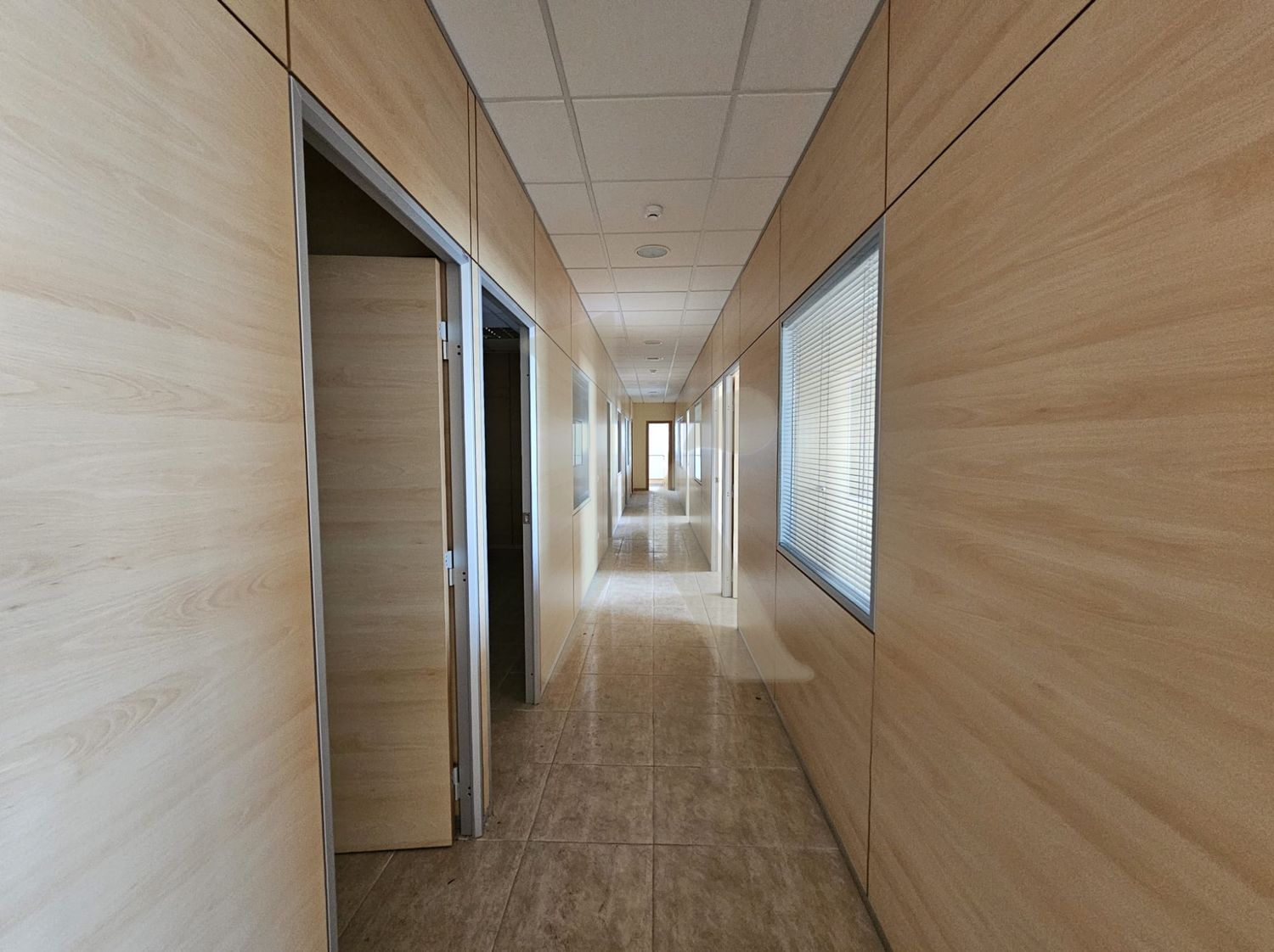 Oficinas en Arafo — imagen 12