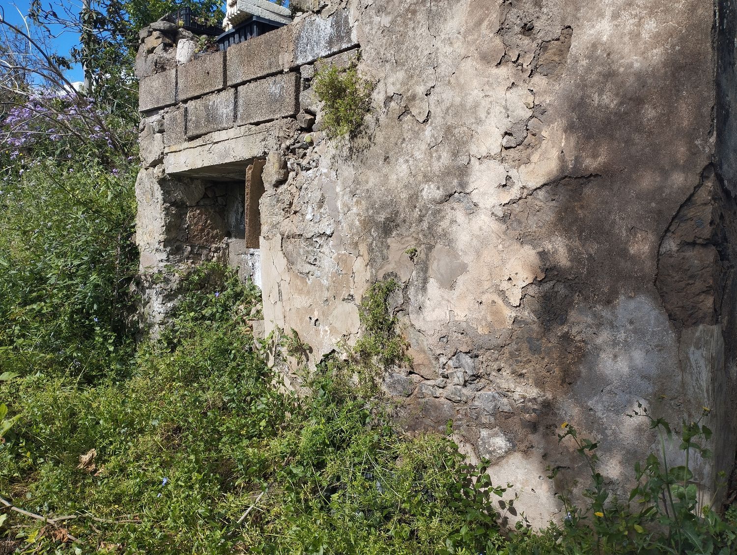 Terrenos en Moya — imagen 47