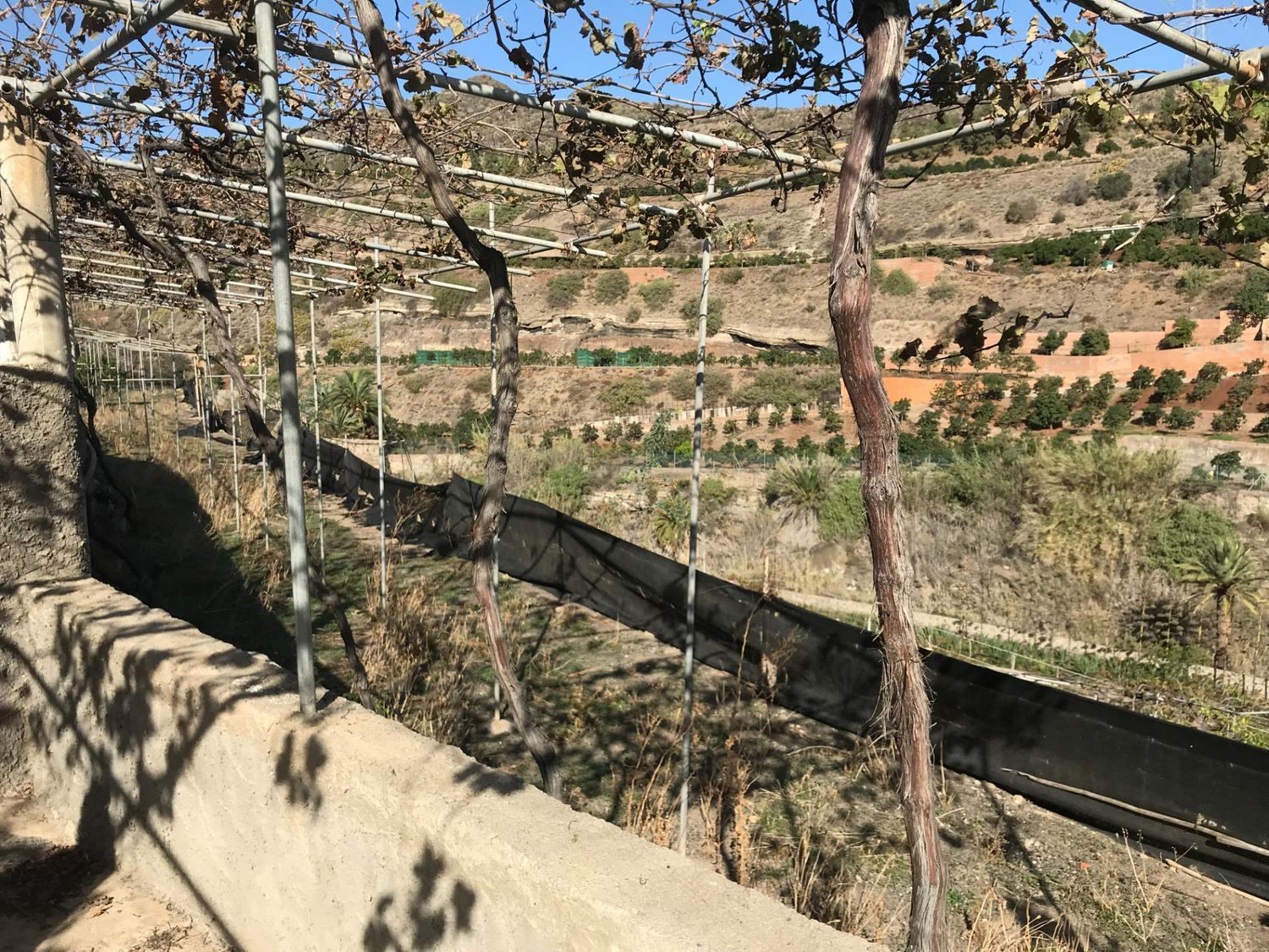Casas rústicas en Telde — imagen 38
