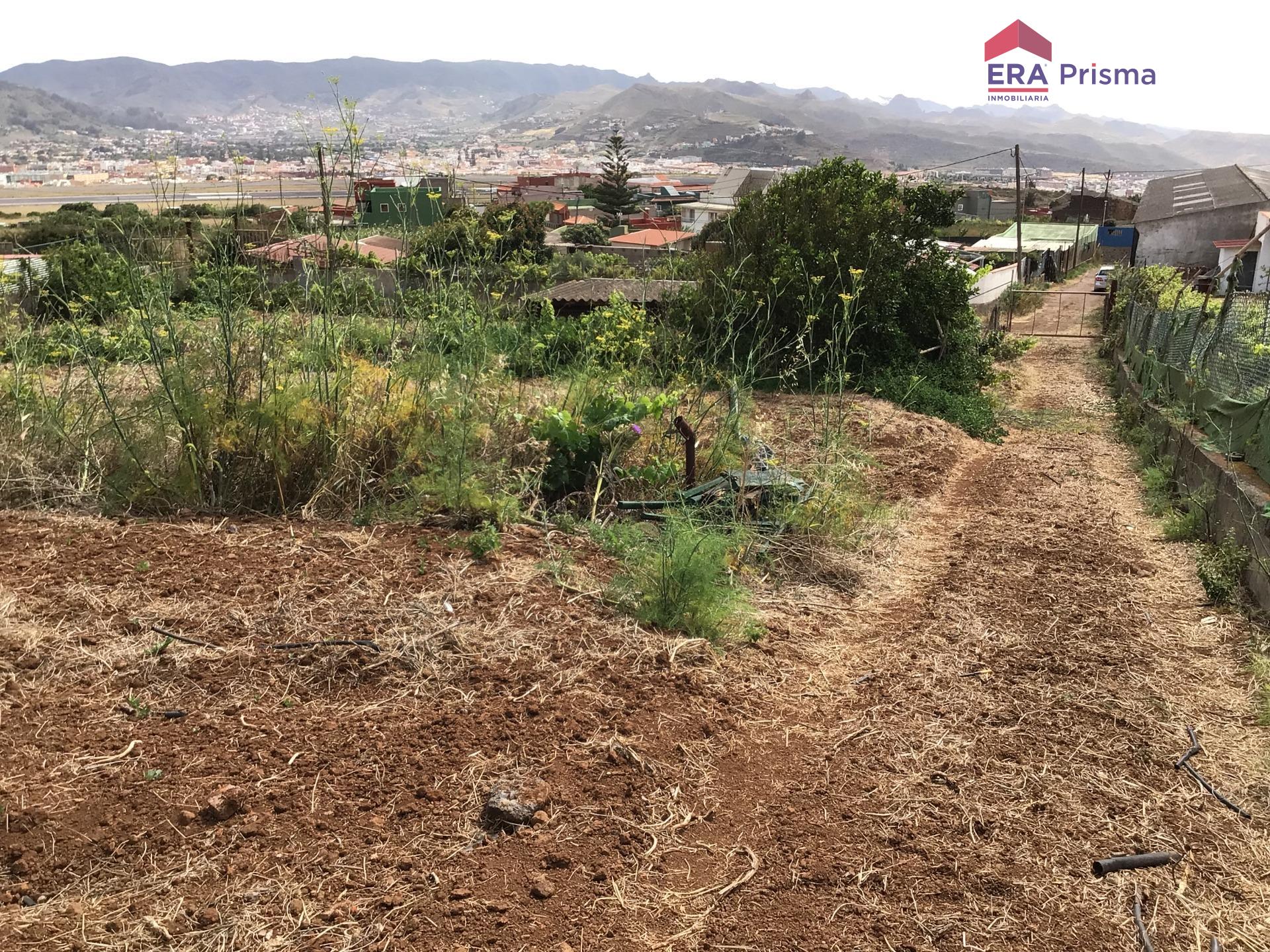 Casas rústicas en San Cristóbal de La Laguna, Los Baldíos — imagen 21