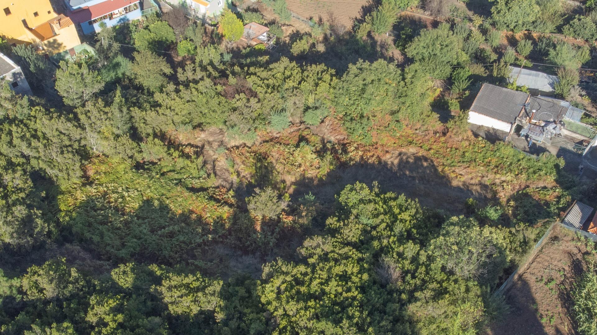 Casas rústicas en Orotava, La, Aguamansa — imagen 9